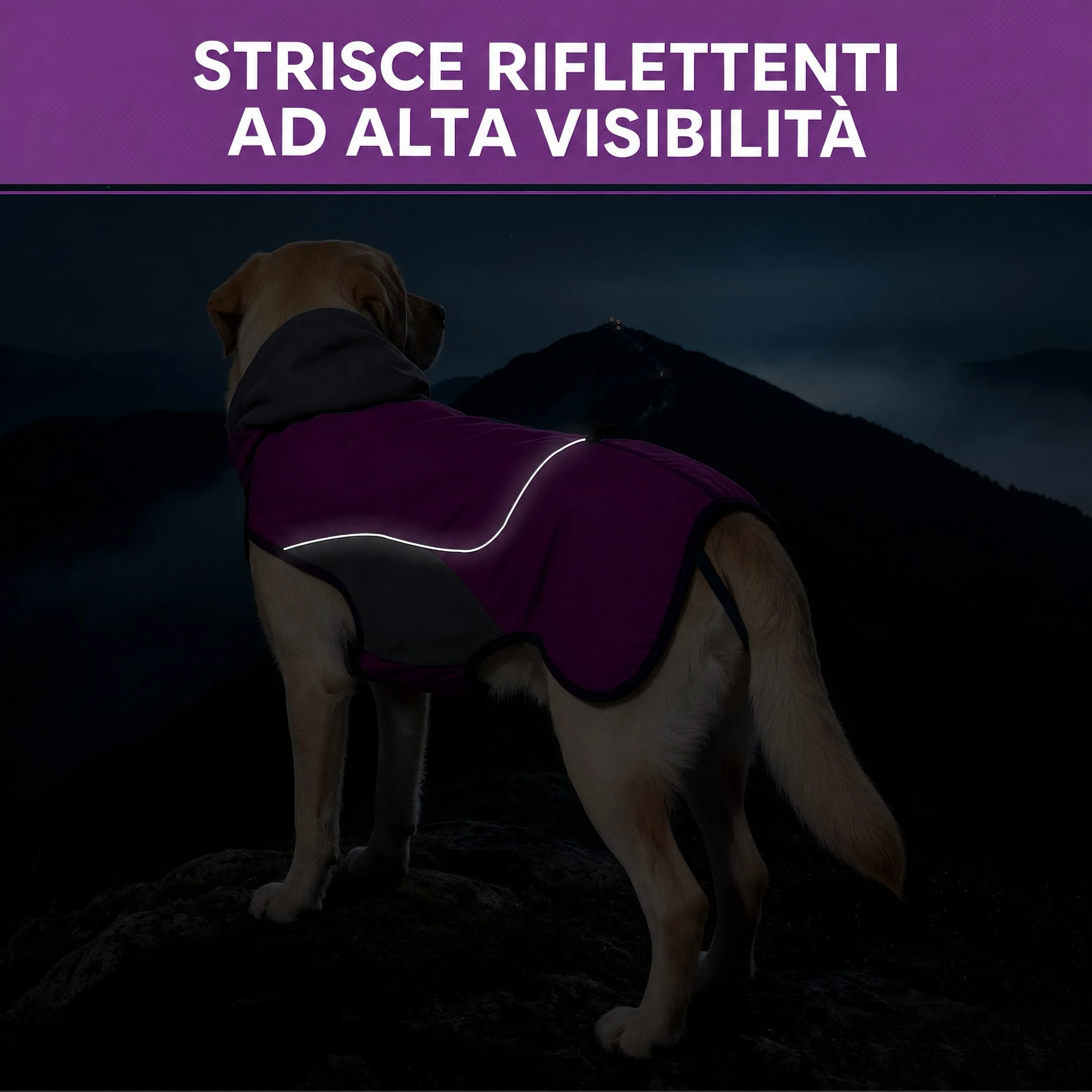 Cappotto Cane Impermeabile Cappottino Invernale per Cani Giacca Caldo - immagine 5
