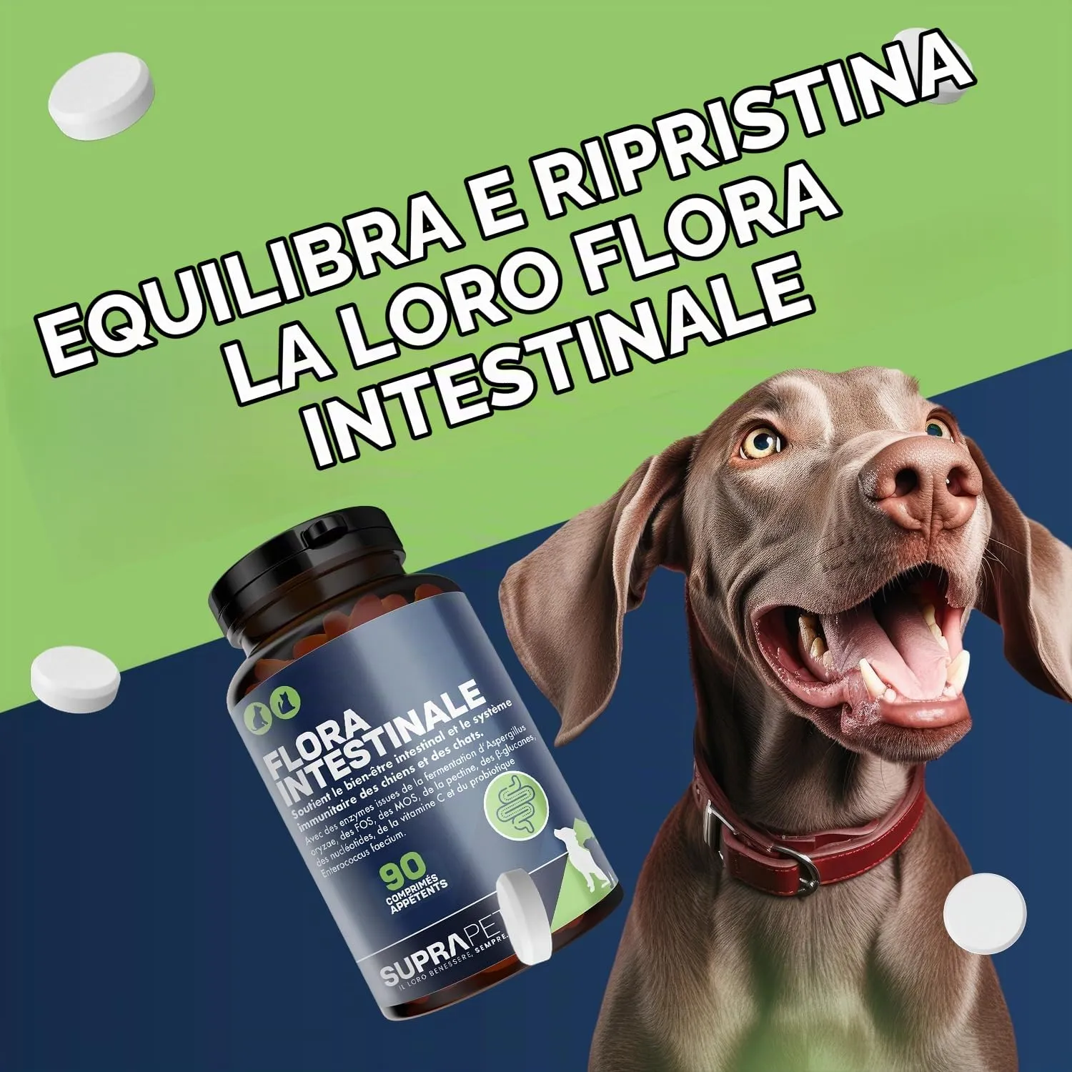 Suprapet Flora Intestinale Cani e Gatti 90 compresse - Fino a 6 Mesi di Fornitura, Con Fermenti Lattici, Probiotici, Vitamina C - Per Intestino e Flora Batterica - immagine 2