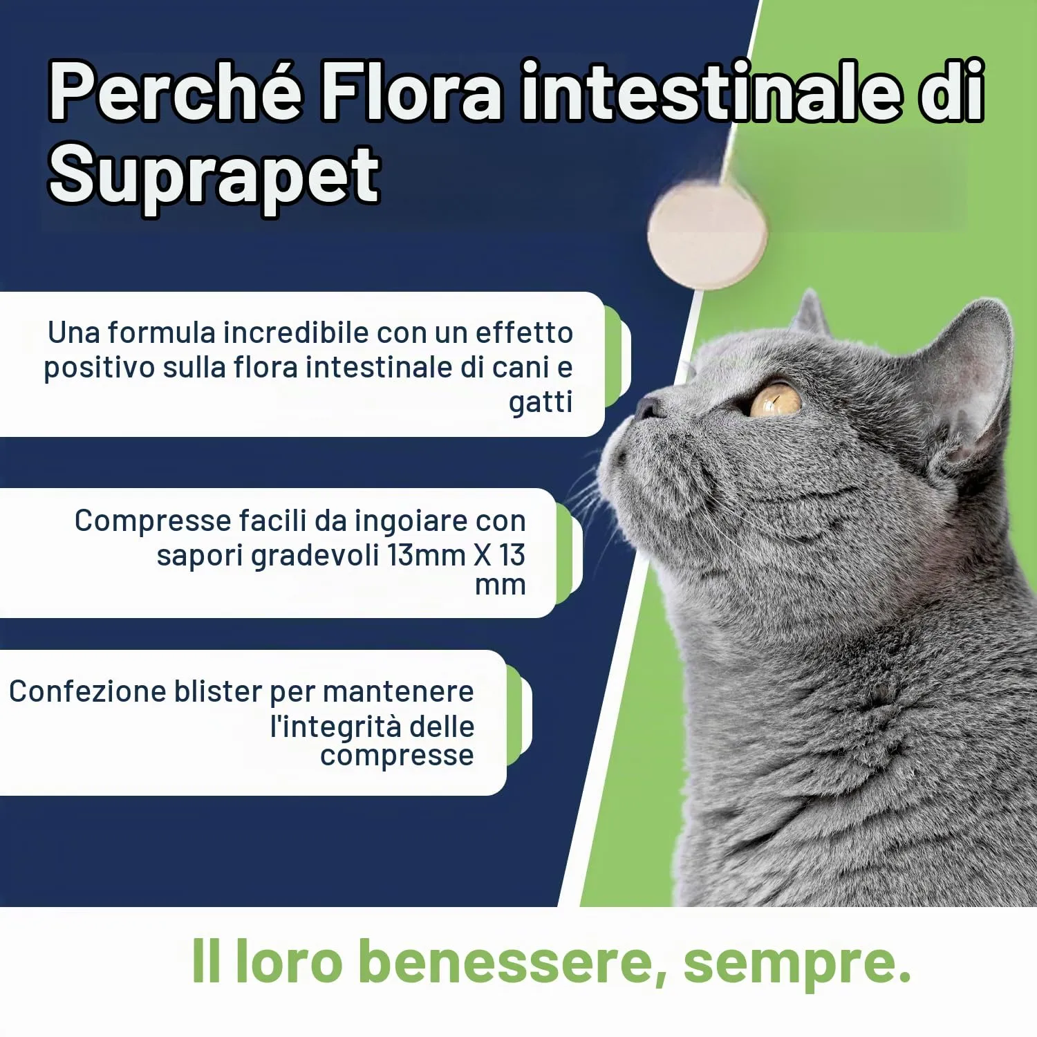 Suprapet Flora Intestinale Cani e Gatti 90 compresse - Fino a 6 Mesi di Fornitura, Con Fermenti Lattici, Probiotici, Vitamina C - Per Intestino e Flora Batterica - immagine 3