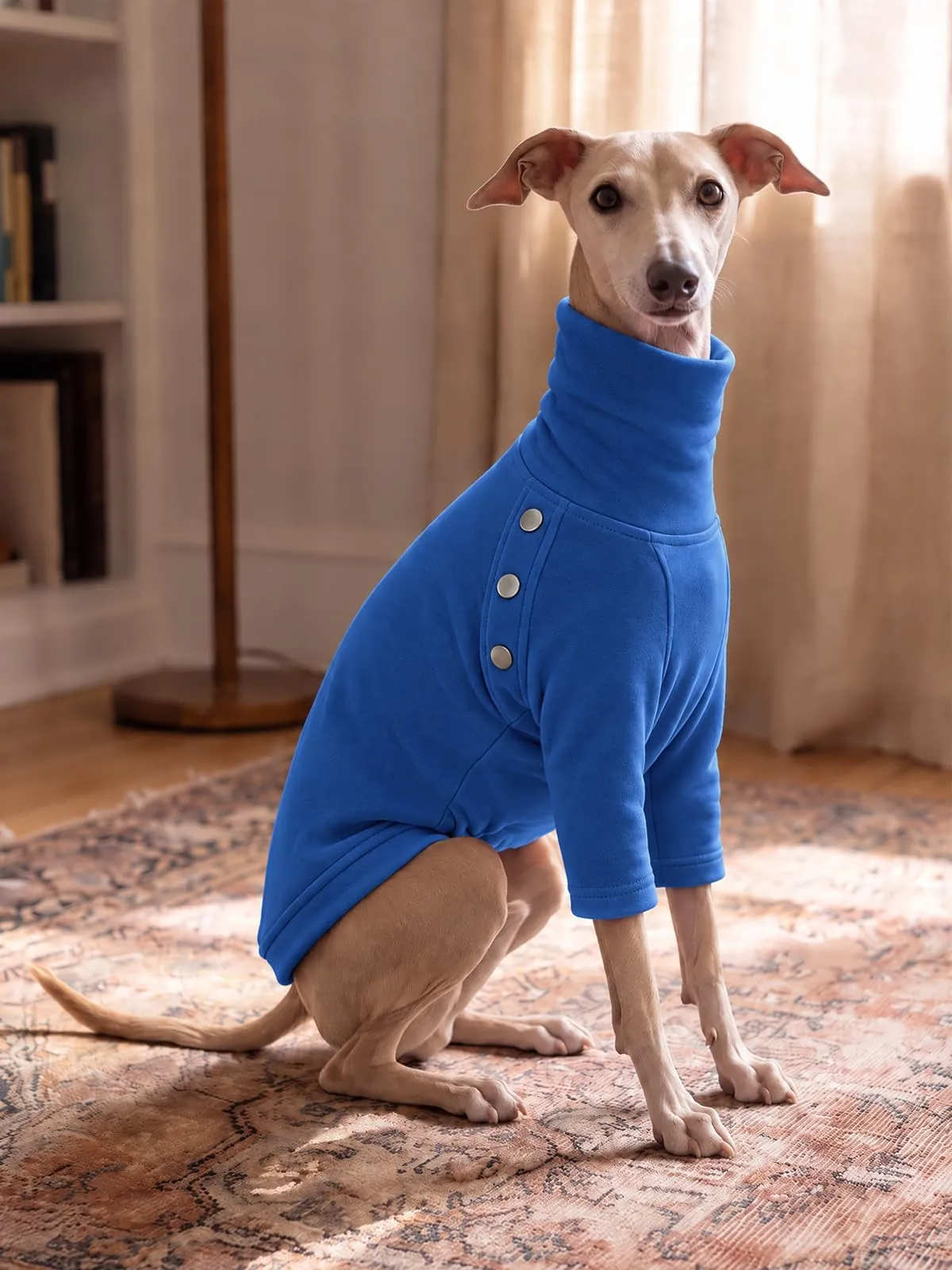 Haloumoning Maglione Cane Invernale a Collo Alto, Blu, Large - immagine 2