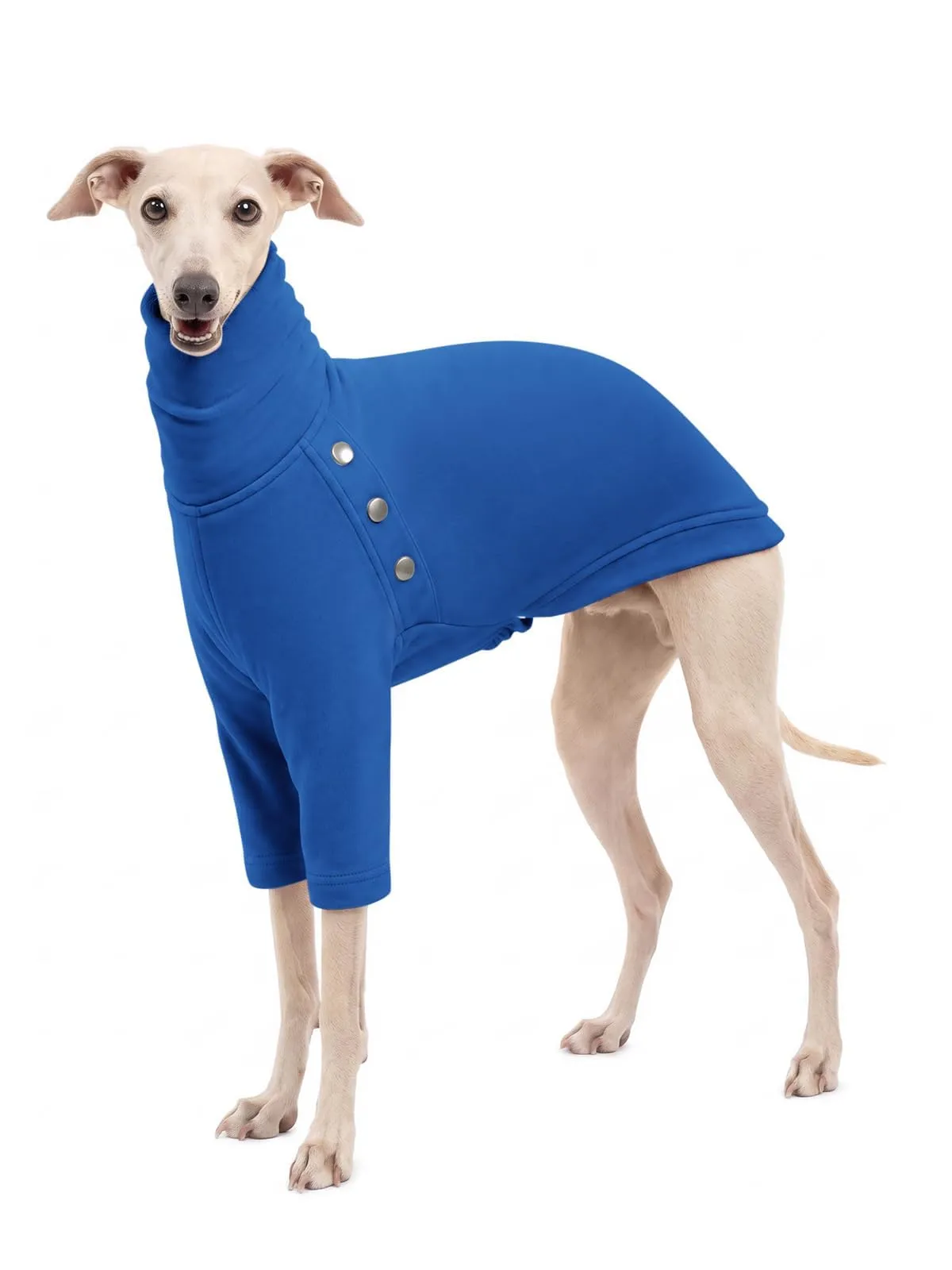 Haloumoning Maglione Cane Invernale a Collo Alto, Blu, Medium - immagine 1