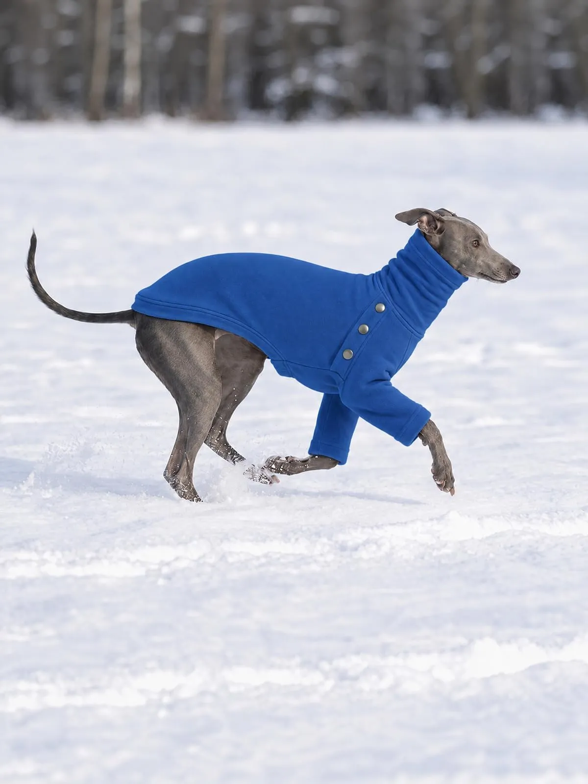 Haloumoning Maglione Cane Invernale a Collo Alto, Blu, Medium - immagine 4