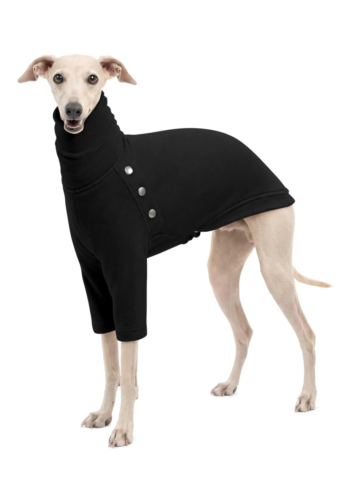 Haloumoning Maglione Cane Invernale a Collo Alto, Nero, Small - immagine 1