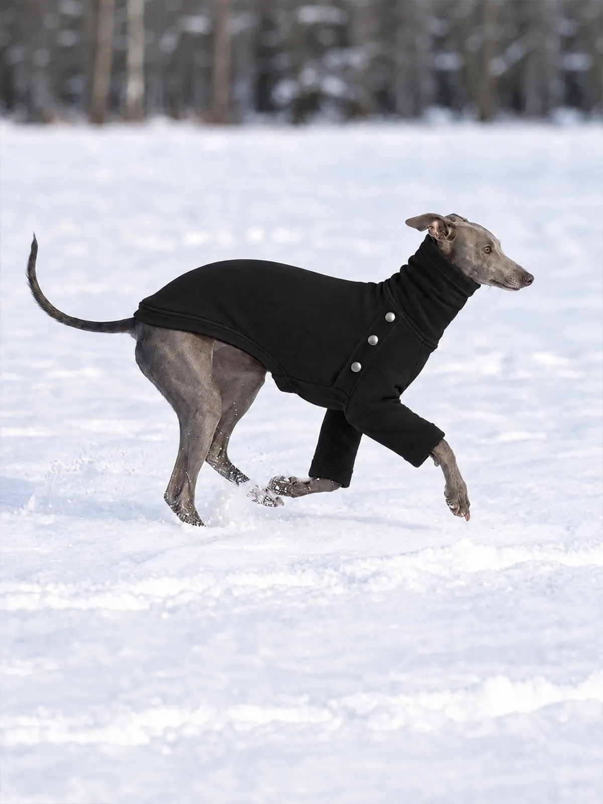 Haloumoning Maglione Cane Invernale a Collo Alto, Nero, Small - immagine 4