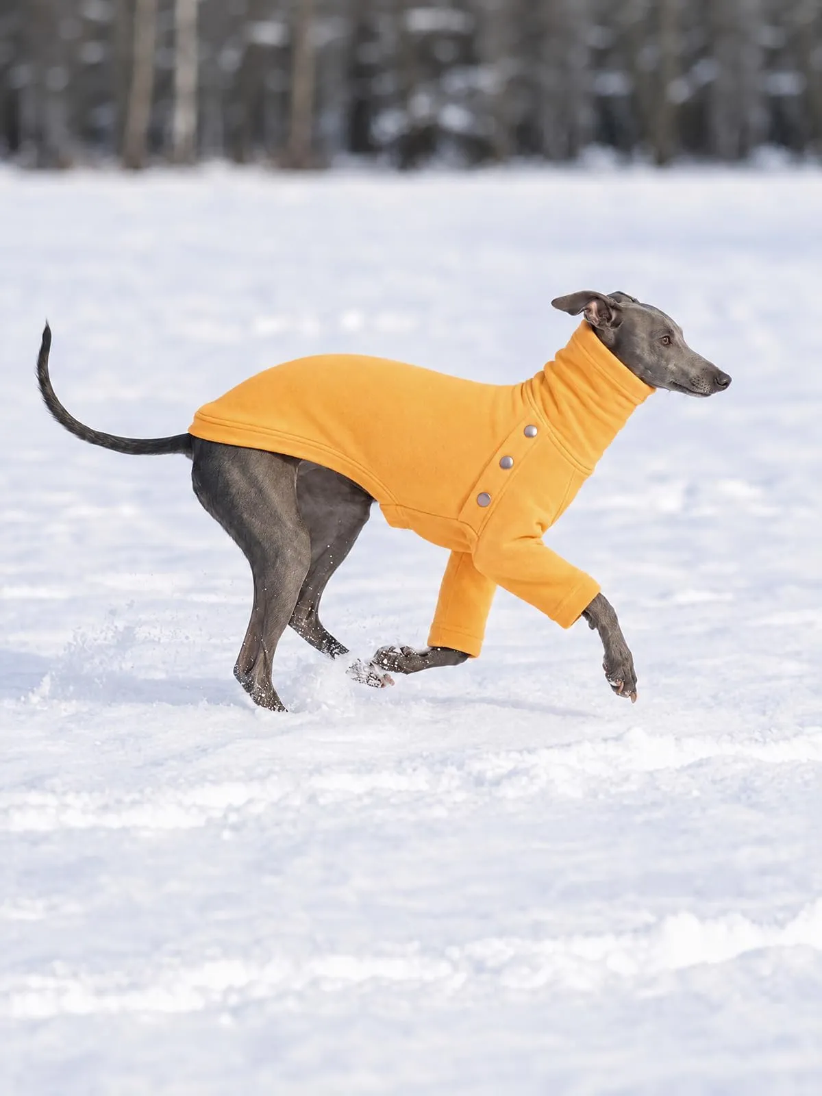 Haloumoning Maglione Cane Invernale a Collo Alto, Giallo, X-Large - immagine 4