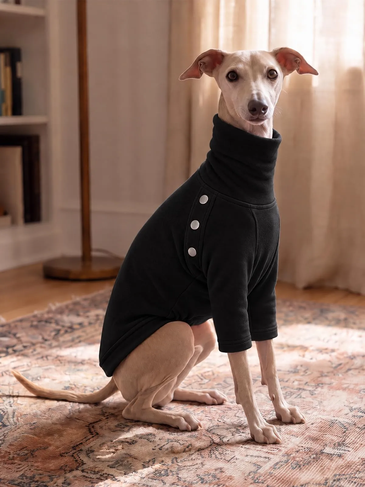 Haloumoning Maglione Cane Invernale a Collo Alto, Nero, X-Large - immagine 2