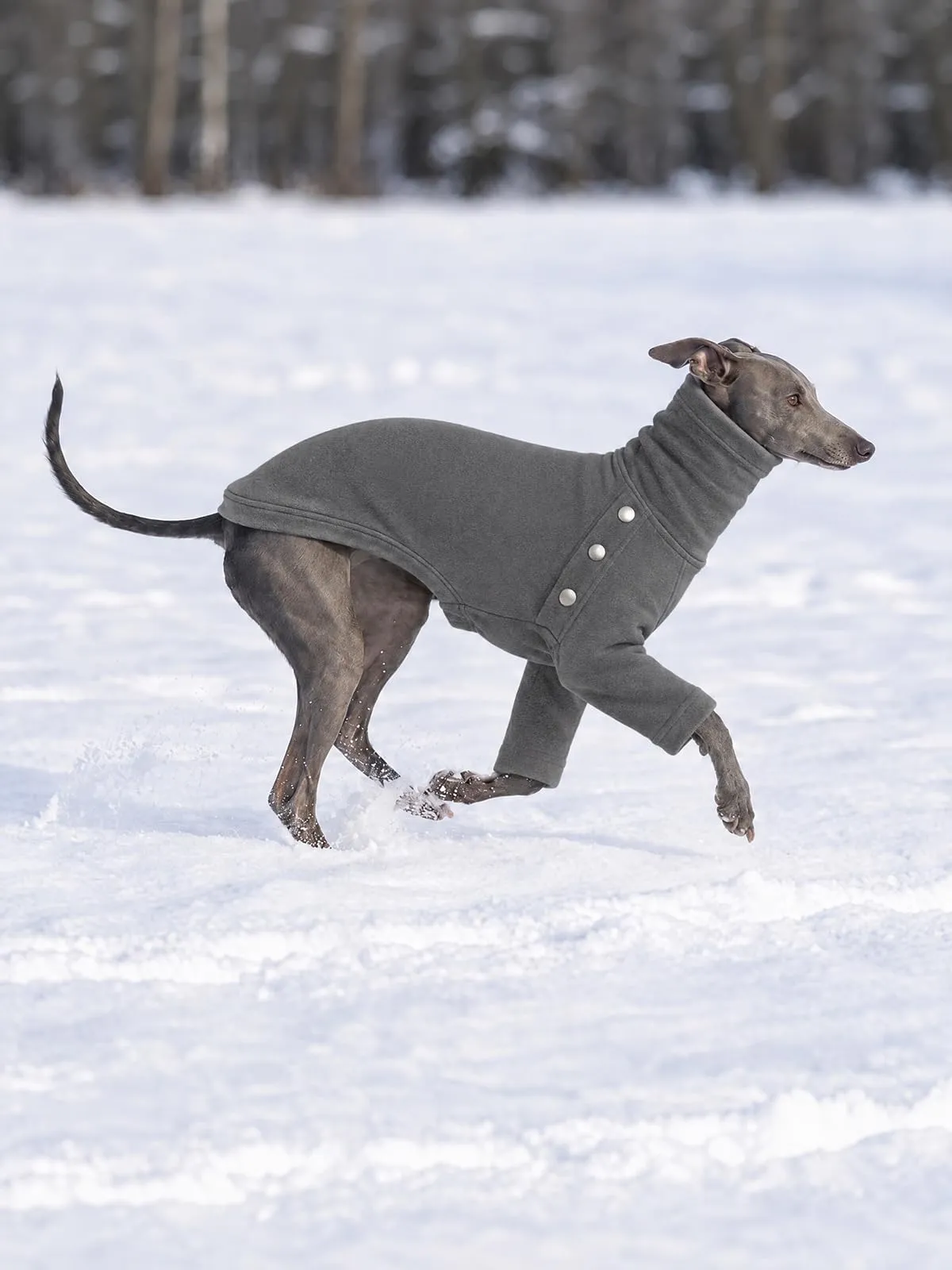 Haloumoning Maglione Cane Invernale a Collo Alto, Grigio, XX-Large - immagine 4