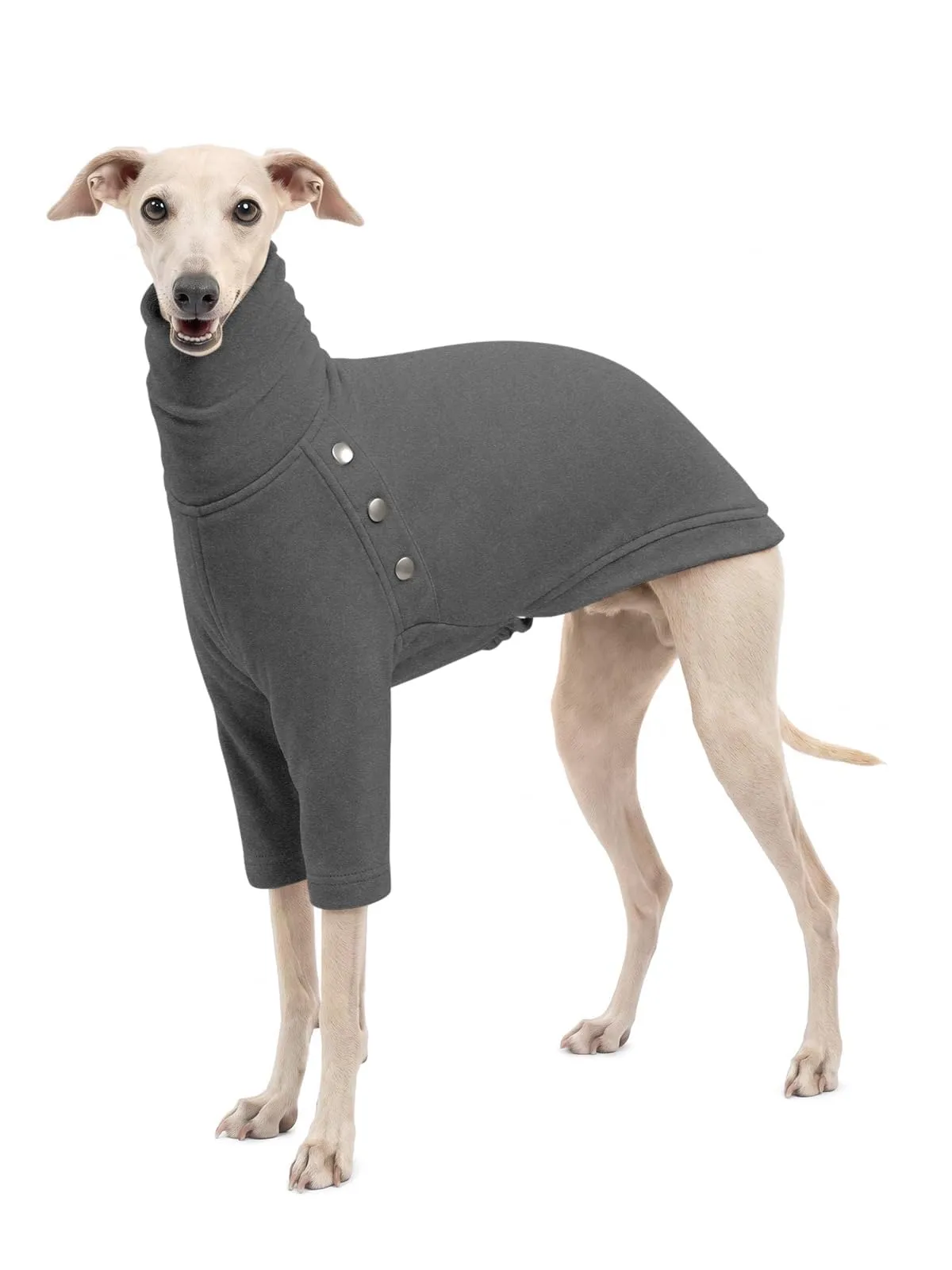 Haloumoning Maglione Cane Invernale a Collo Alto, Grigio, X-Large - immagine 1