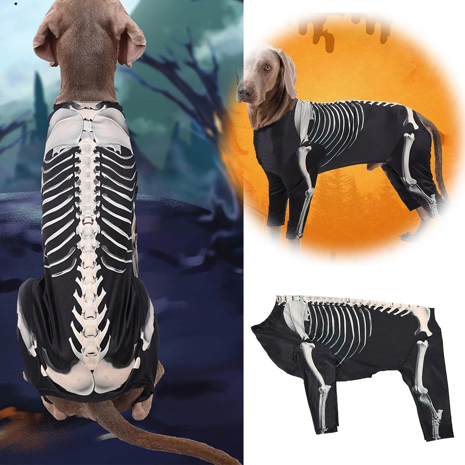 Costume da scheletro nero per cane, vestito a quattro gambe in poliestere - immagine 5