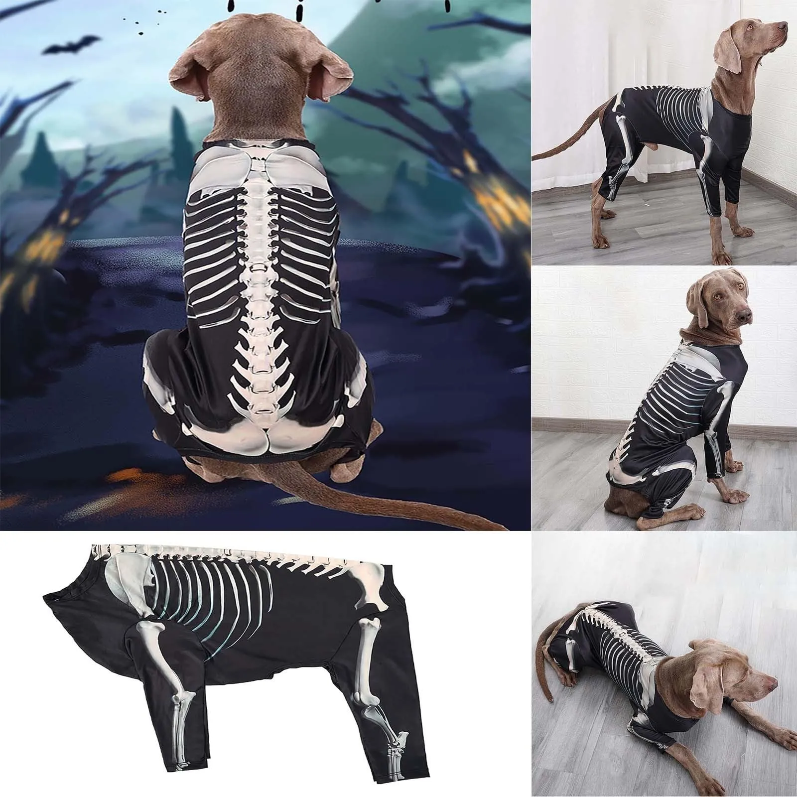 Costume da scheletro nero per cane, vestito a quattro gambe in poliestere - immagine 2