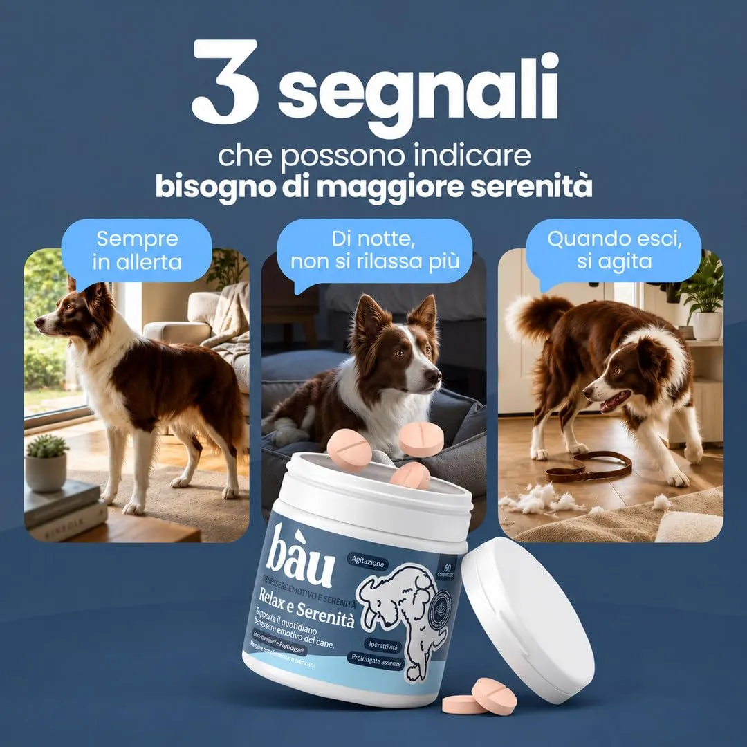 Bau Integratore Calmante per Cani, Valeriana per Cani Tranquillante, Rilassante per Cani Appetibili con Ingredienti Naturali Ideale per Temporali, Ansia da Separazione e Viaggi -60cps - immagine 2
