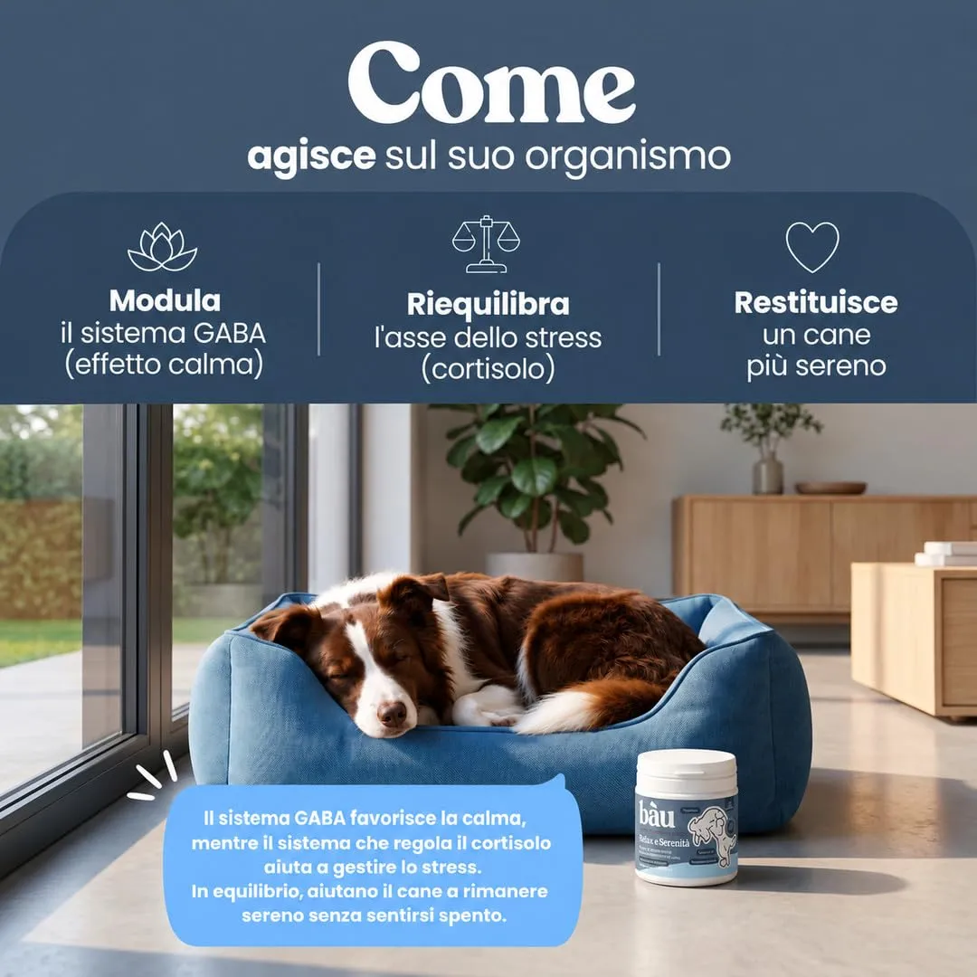 Bau Integratore Calmante per Cani, Valeriana per Cani Tranquillante, Rilassante per Cani Appetibili con Ingredienti Naturali Ideale per Temporali, Ansia da Separazione e Viaggi -60cps - immagine 3