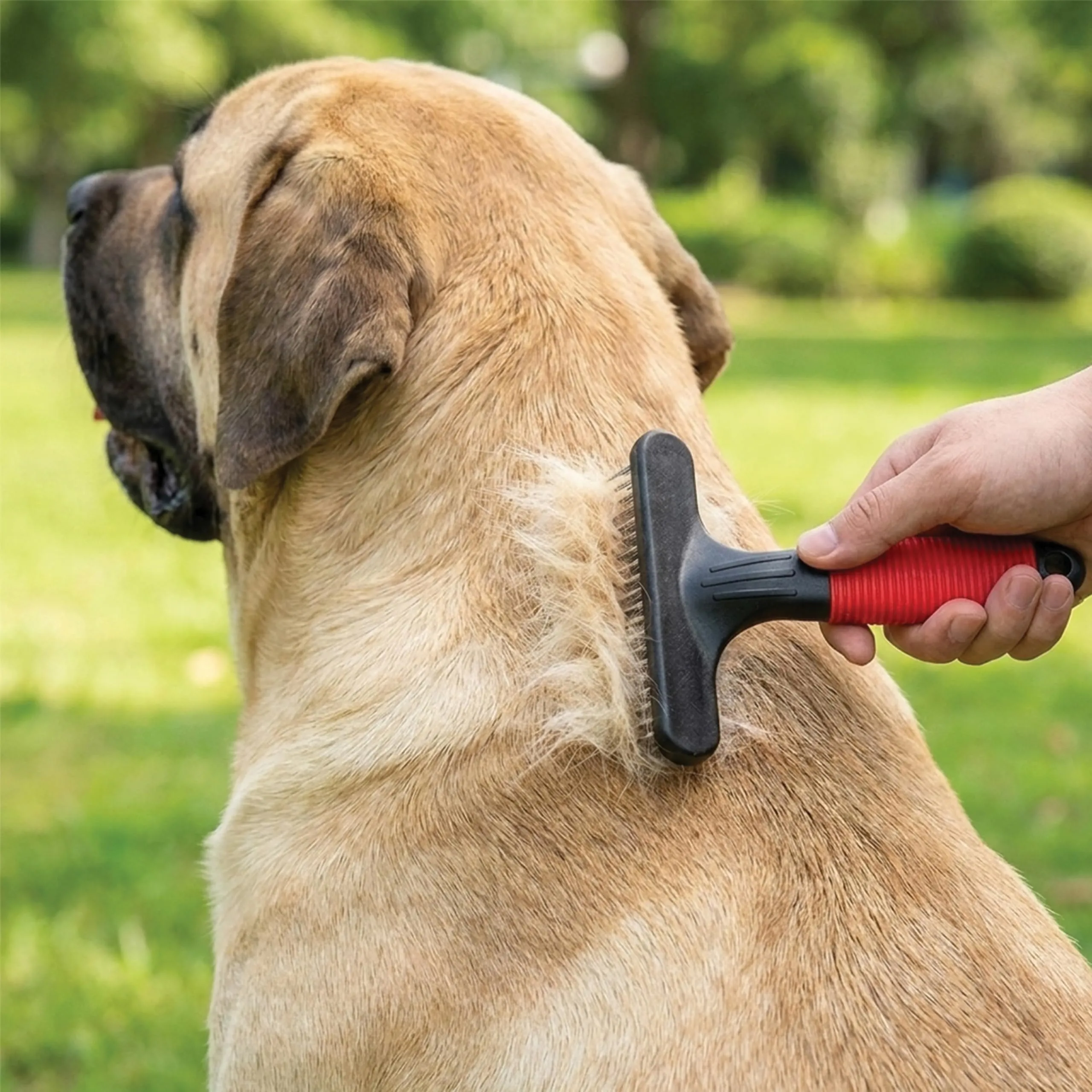 Ferplast Pettine per Cani e Gatti 2 in 1 Pelo Medio e Lungo, Denti Rotanti Arrotondati Anti-Irritazione e Manico Antiscivolo - immagine 2