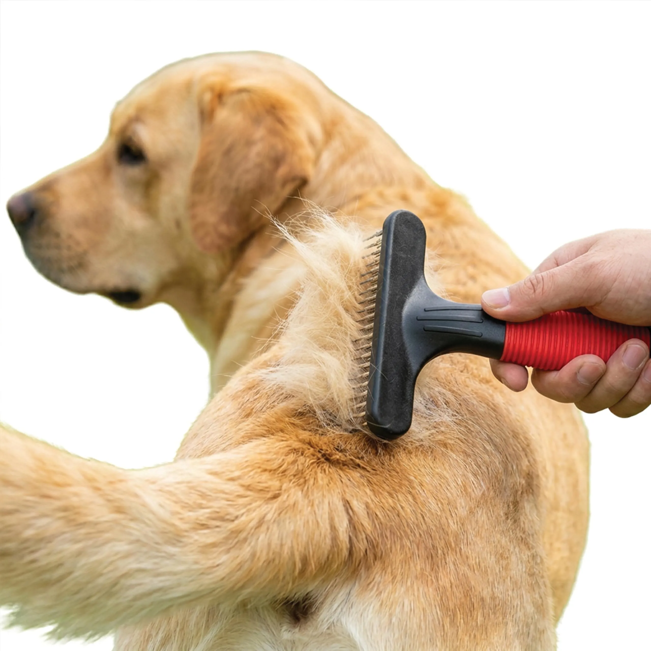 Ferplast Pettine per Cani e Gatti 2 in 1 Pelo Medio e Lungo, Denti Rotanti Arrotondati Anti-Irritazione e Manico Antiscivolo - immagine 7