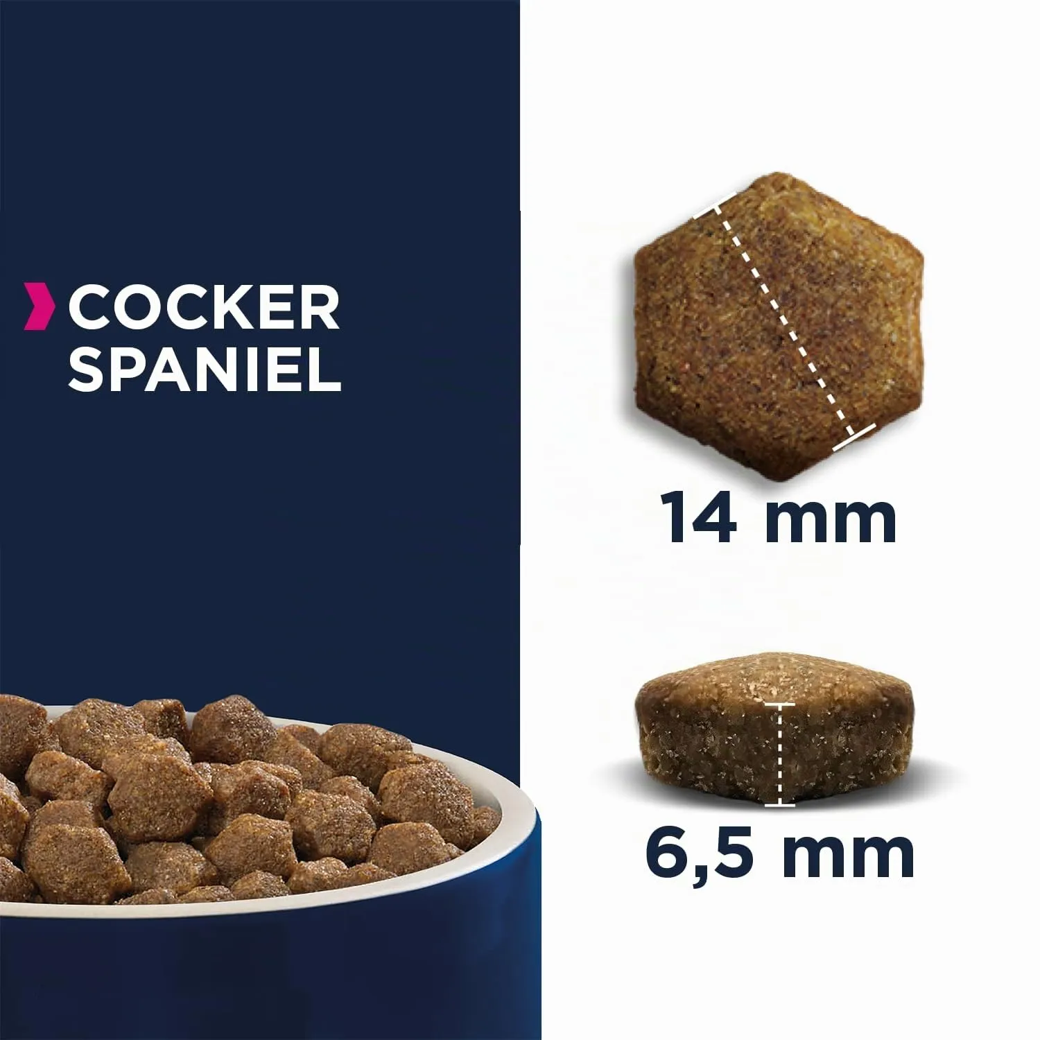 Eukanuba Breed Specific Alimento Secco per Cocker Spaniel Adulti, Cibo per Cani Adattato in Modo Ottimale alla Razza 7.5 kg - immagine 3