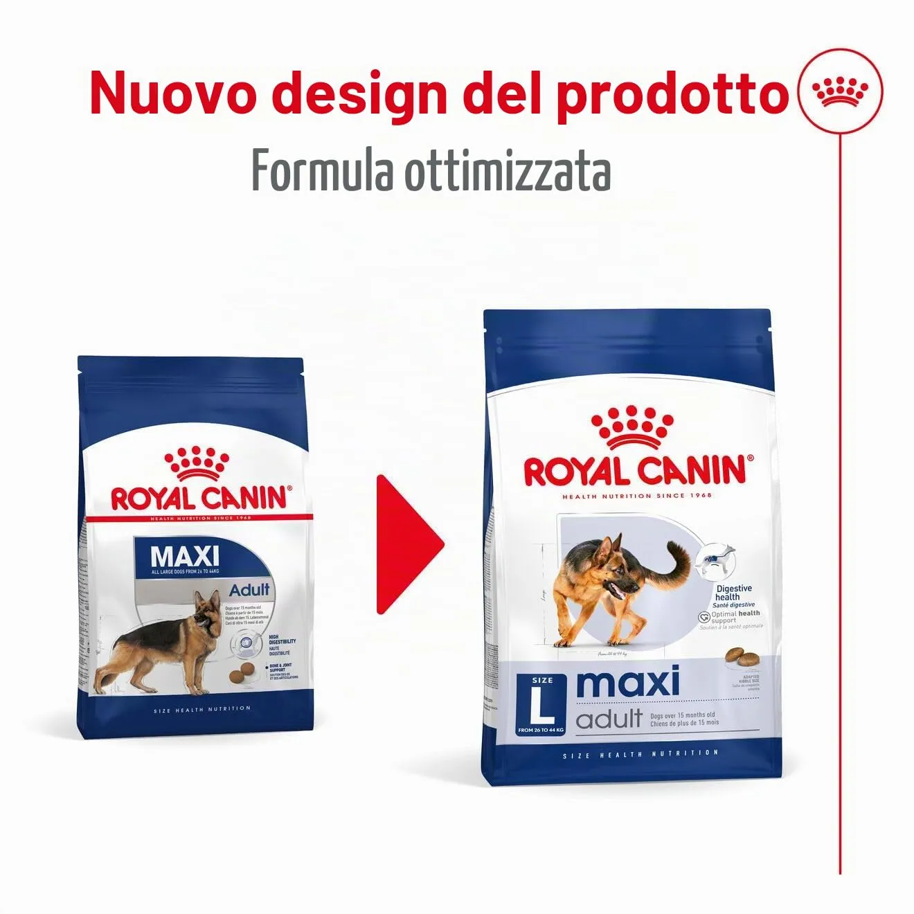 Royal Canin Dog Food Maxi Adulto 10kg - immagine 2