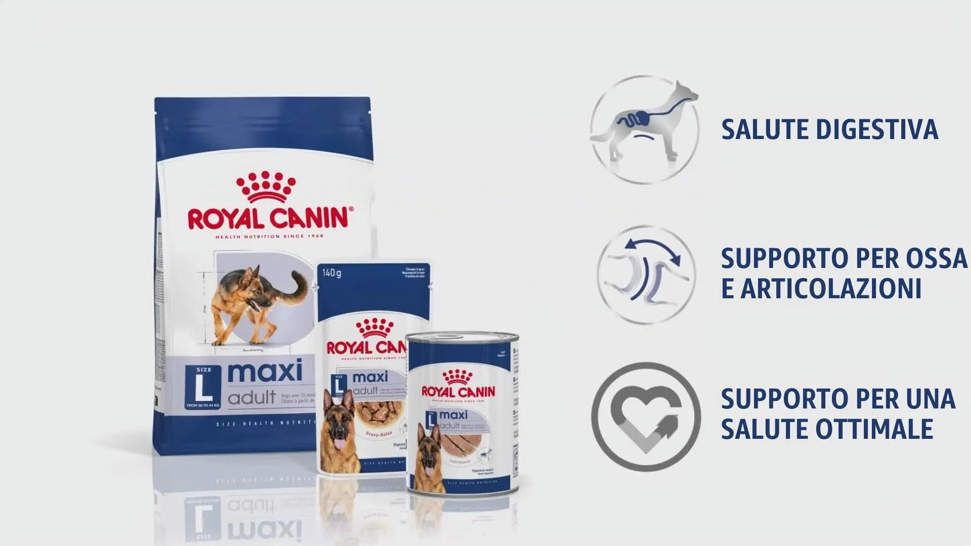 Royal Canin Dog Food Maxi Adulto 10kg - immagine 3