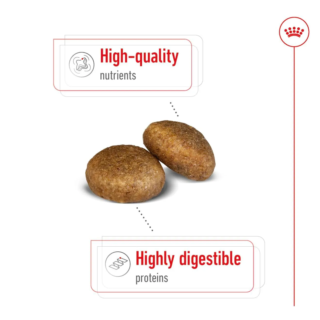Royal Canin Dog Food Maxi Adulto 10kg - immagine 4