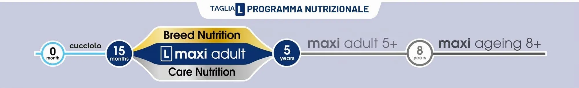 Royal Canin Dog Food Maxi Adulto 10kg - immagine 5