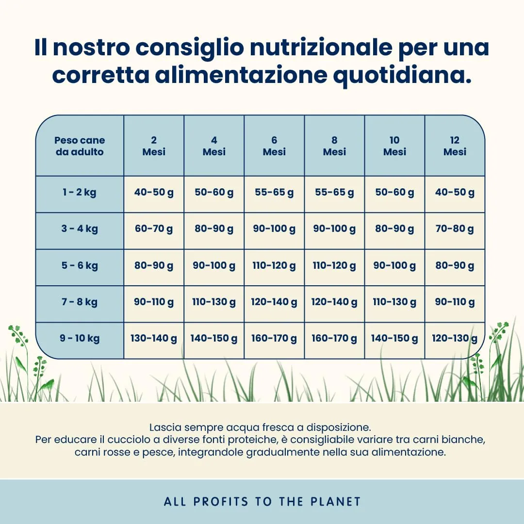 Almo Nature Puppy Cibo Secco per Cane XS-S al Pollo 2 kg – Crocchette Complete per Cuccioli di Taglia Piccola e Mini - immagine 3