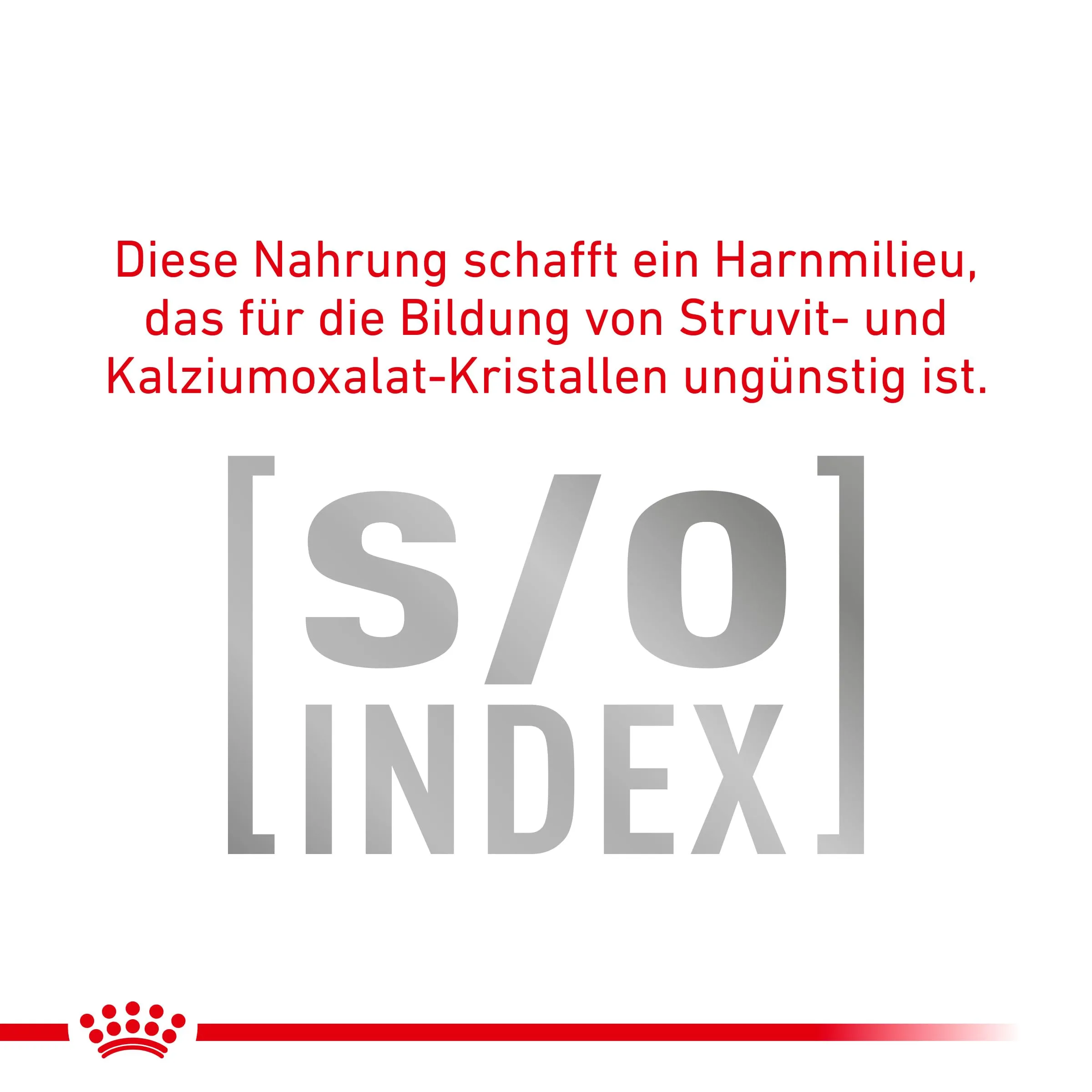 ROYAL CANIN Veterinary Satiety Weight Management | 12 x 410 g | Alimento dietetico completo per cani adulti | Può contribuire alla riduzione del sovrappeso | Alto contenuto proteico - immagine 5