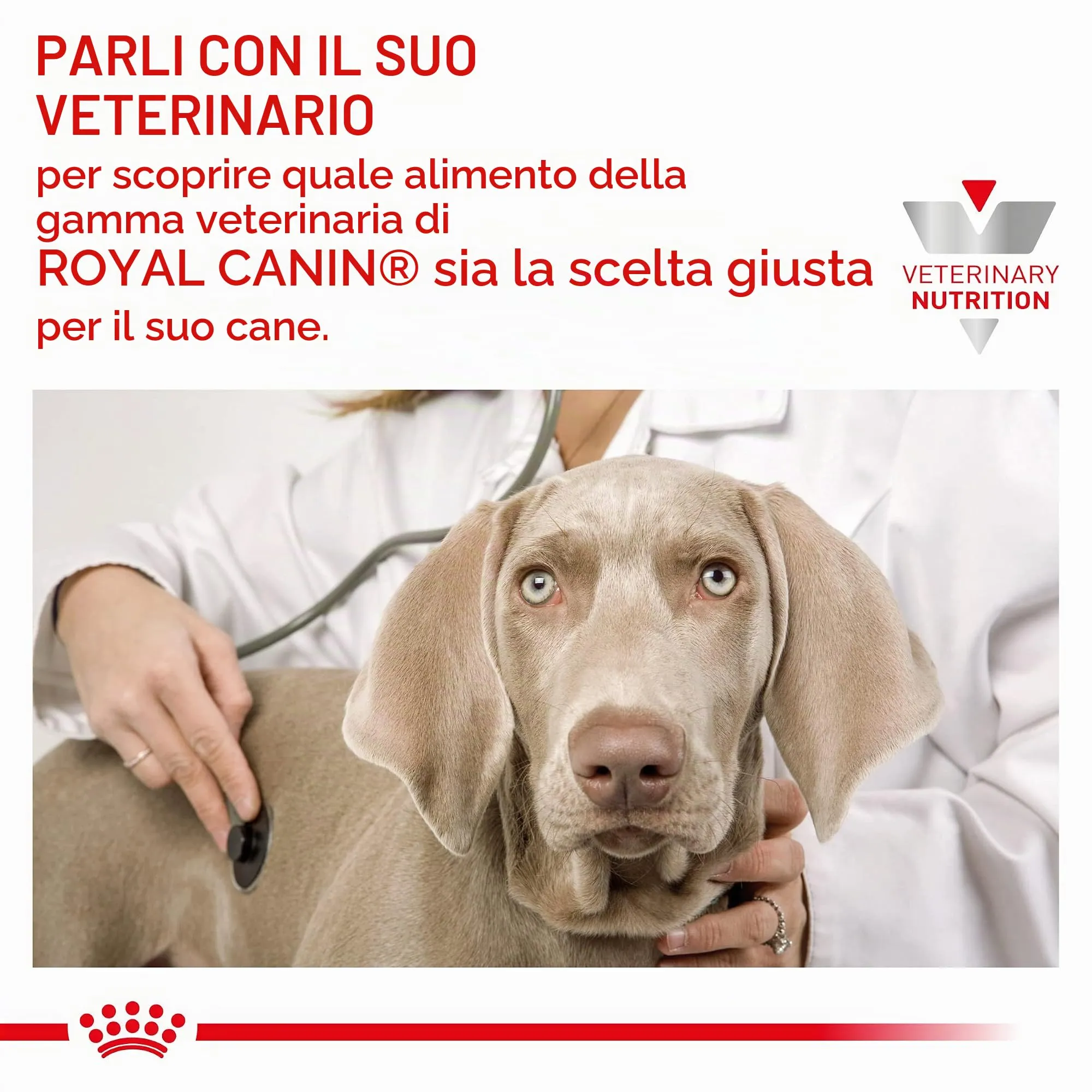ROYAL CANIN Veterinary Satiety Weight Management | 12 x 410 g | Alimento dietetico completo per cani adulti | Può contribuire alla riduzione del sovrappeso | Alto contenuto proteico - immagine 9