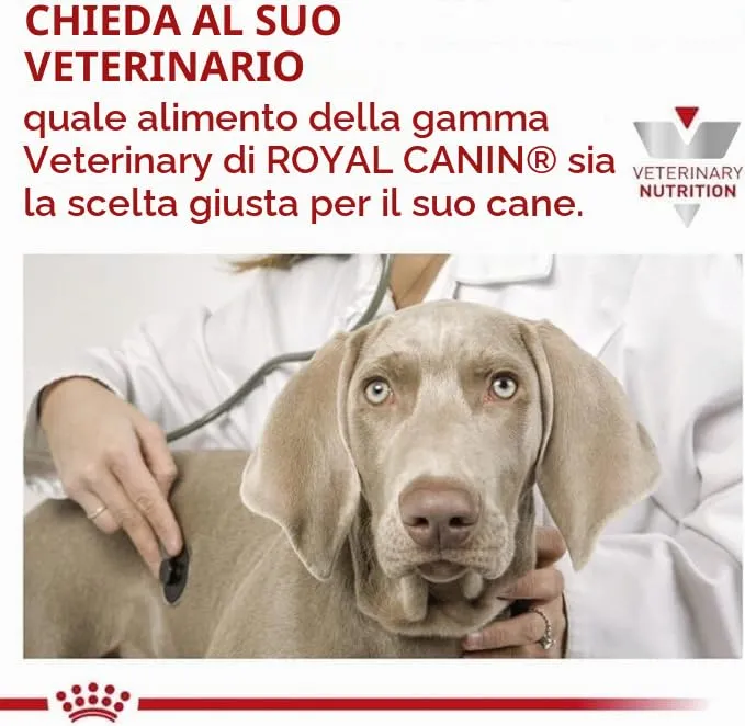 Royal Canin Veterinary Renal | 12 x 200 g | Alimento dietetico completo per cani adulti | Può contribuire a sostenere la funzione renale in caso di insufficienza renale cronica | Mousse - immagine 6