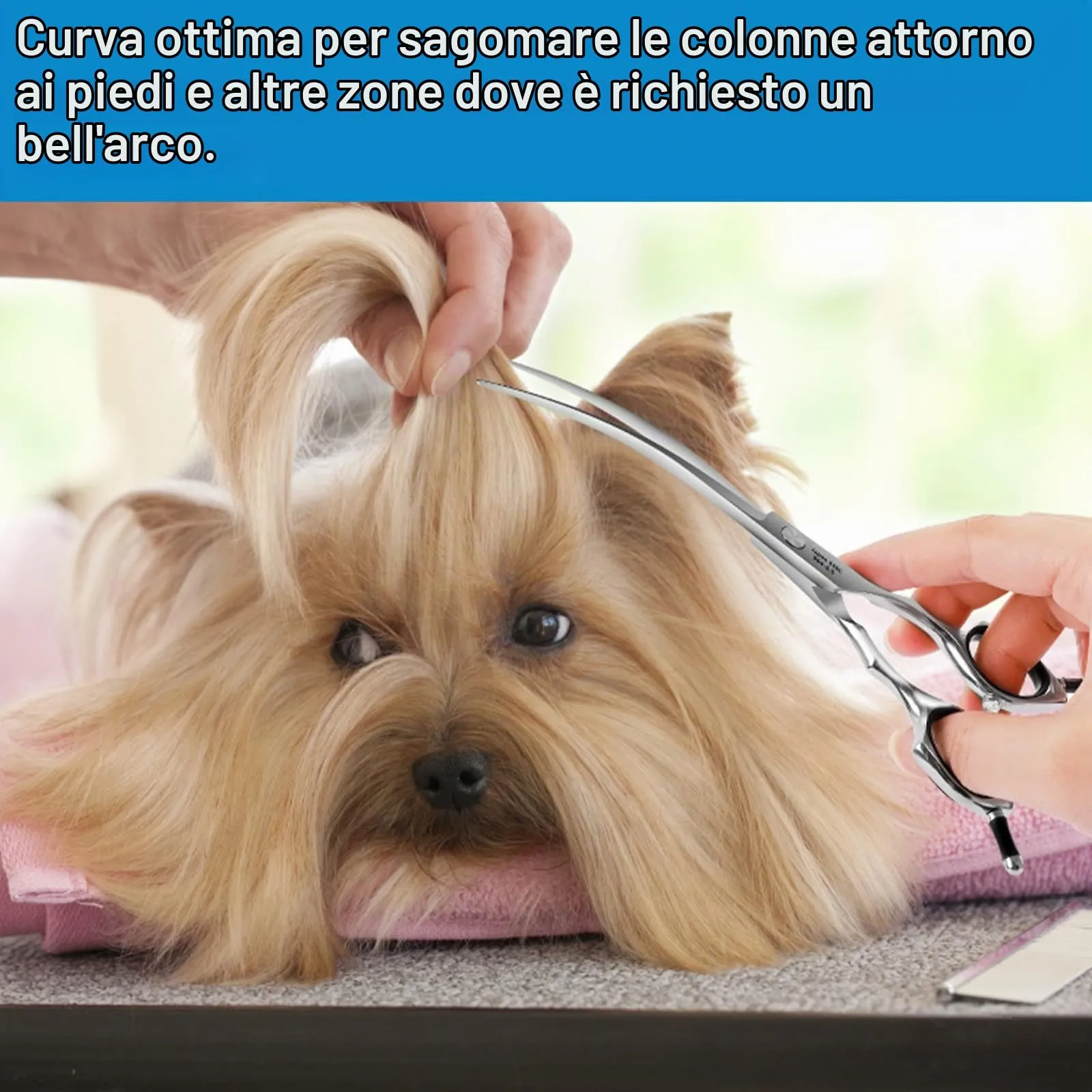 HASHIMOTO Forbici curve per la toelettatura del cane, 6,5 pollici, 30 gradi di lama curva, peso leggero, cesoie per animali domestici per la rifinitura di viso e zampe. - immagine 6