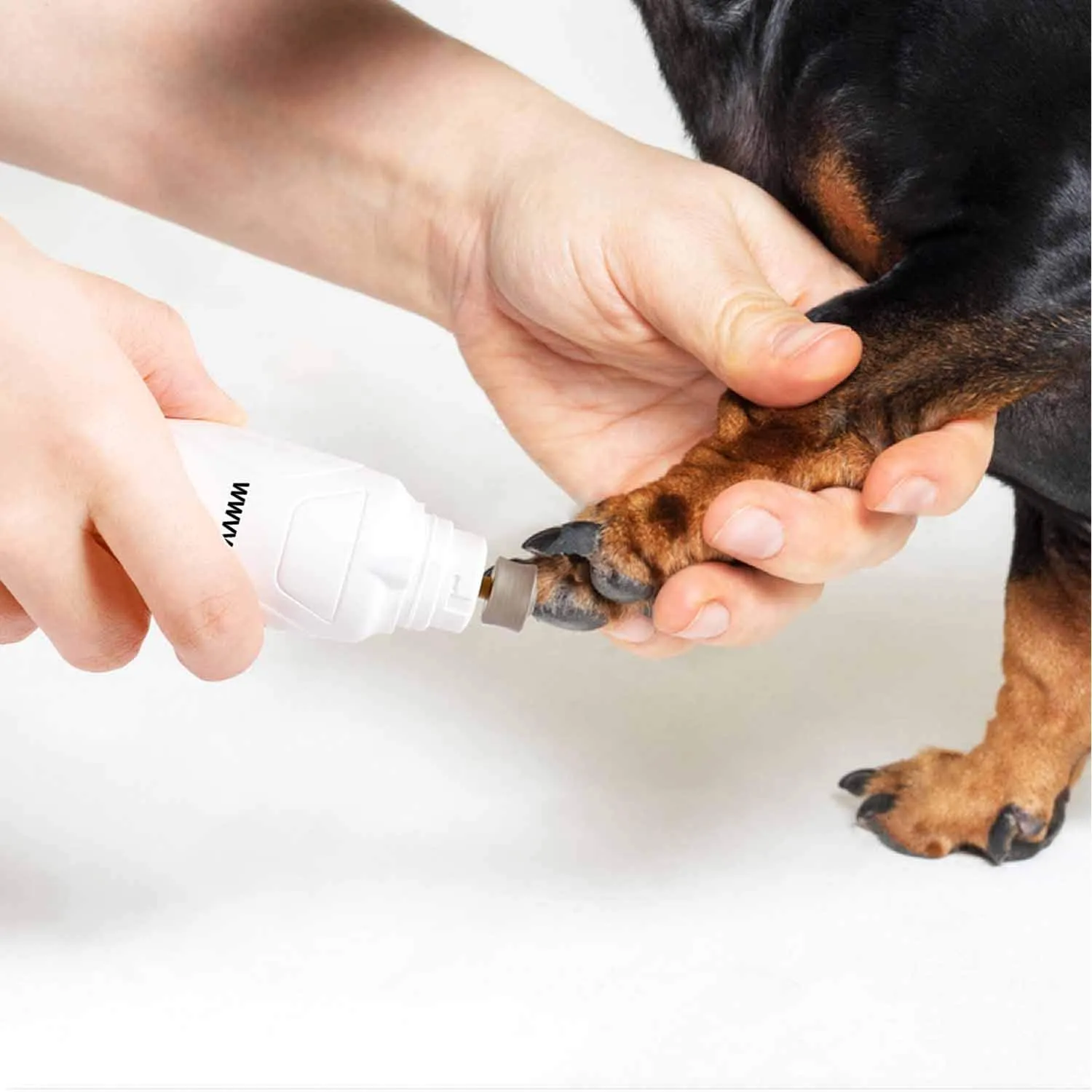 Tagliaunghie per Cani con Luce e 2 Ruote, 2-Velocità Tagliaunghie - immagine 9