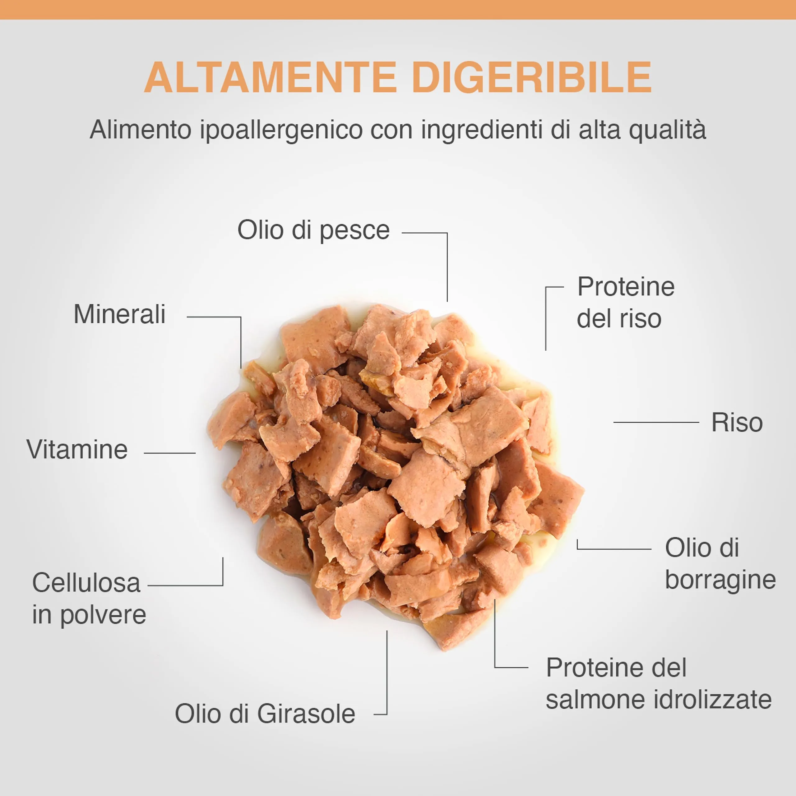 SPECIFIC® Allergen Management Plus (CΩW-HY) - 6x300g - Alimento umido ipoallergenico per cani di tutte le età con salmone idrolizzato - Senza glutine - DECHRA Veterinary Products - immagine 3