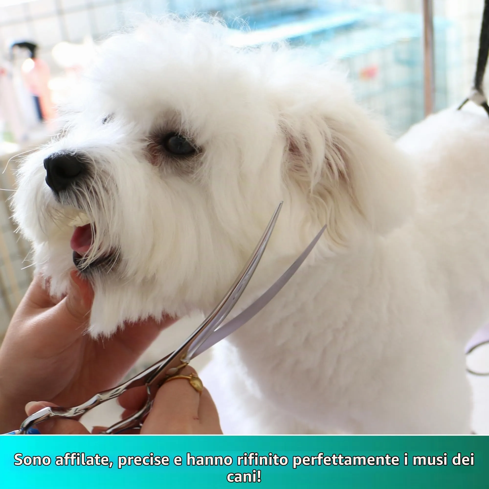 HASHIMOTO Forbici curve per cane Grooming, 7,5 pollici, 30 gradi di lama curva, peso leggero, cesoie per animali domestici per la rifinitura di viso e zampe - immagine 4