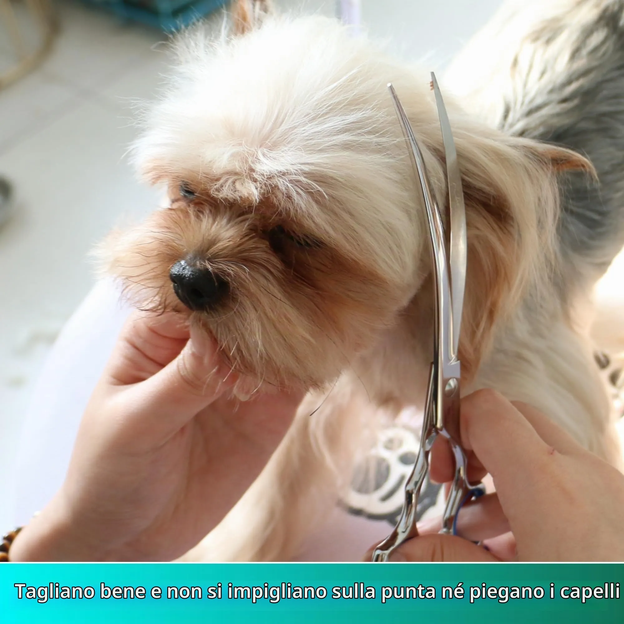 HASHIMOTO Forbici curve per cane Grooming, 7,5 pollici, 30 gradi di lama curva, peso leggero, cesoie per animali domestici per la rifinitura di viso e zampe - immagine 5