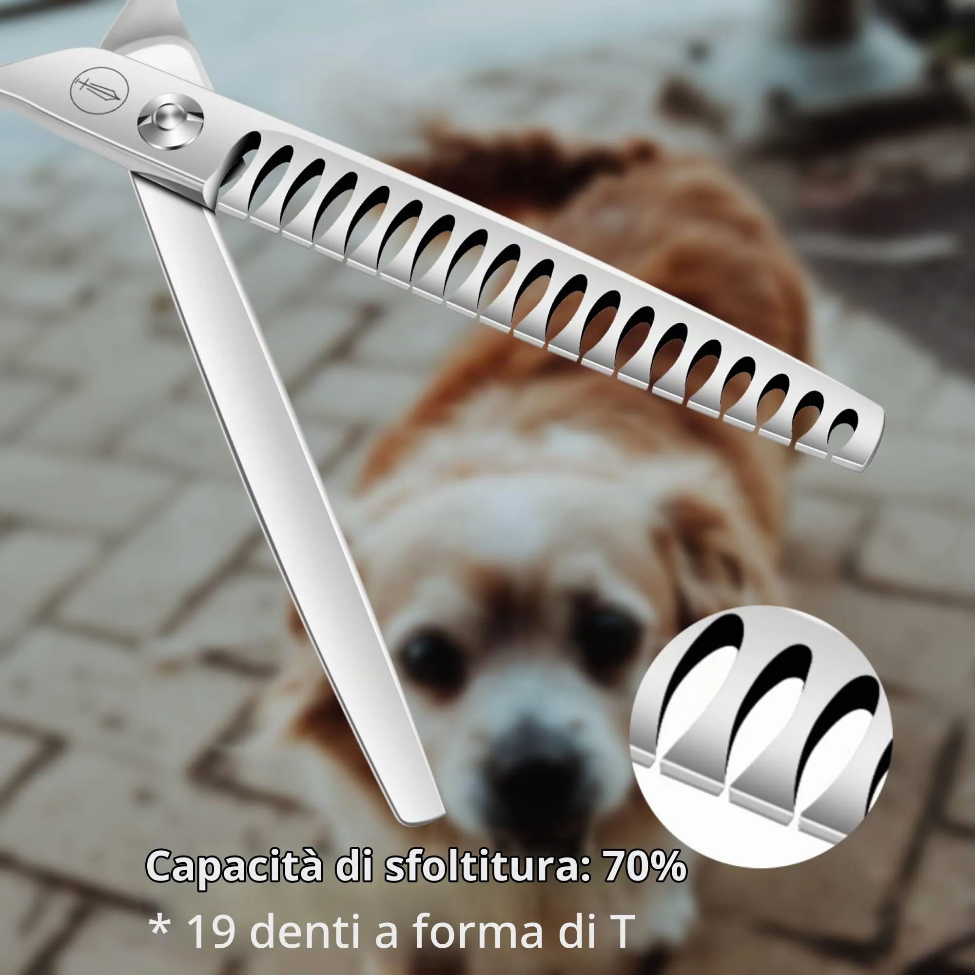 HASHIMOTO Forbici Chunker per la toelettatura del cane, forbici per la testurizzazione del cane, forbici per gatti, 19 denti, 7,0 pollici, peso leggero. - immagine 3