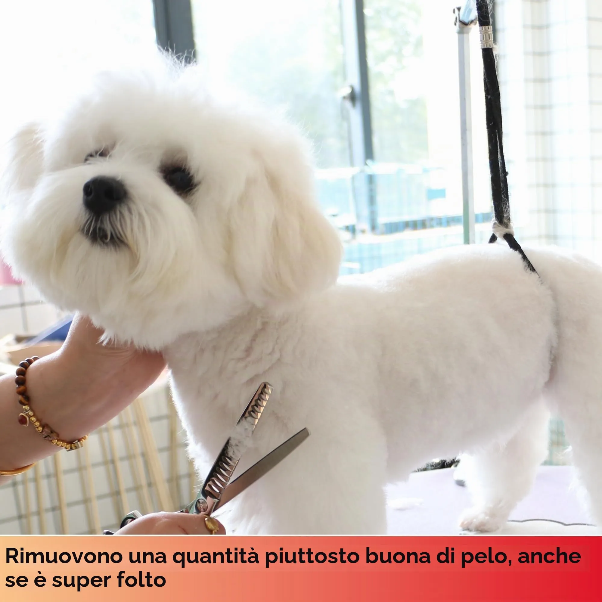 HASHIMOTO Forbici Chunker per la toelettatura del cane, forbici per la testurizzazione del cane, forbici per gatti, 19 denti, 7,0 pollici, peso leggero. - immagine 4