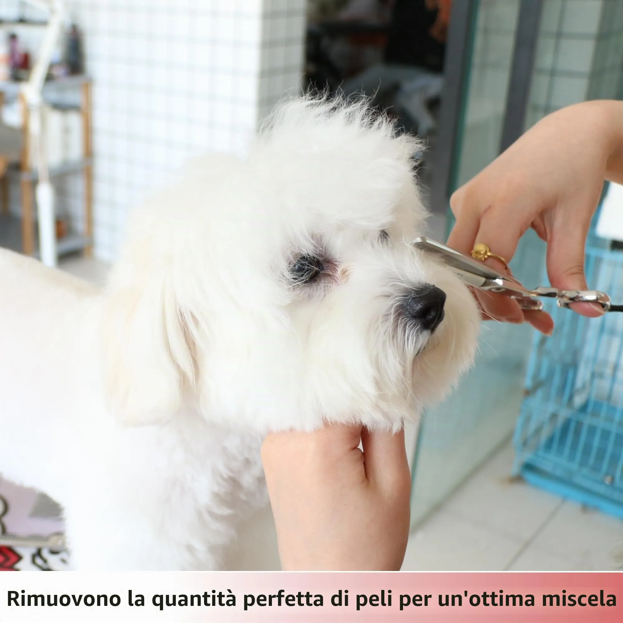 HASHIMOTO Forbici per cani, forbici per texturizzare i cani, frullatore per gatti, 45 denti, 7,0 pollici, peso leggero. - immagine 4