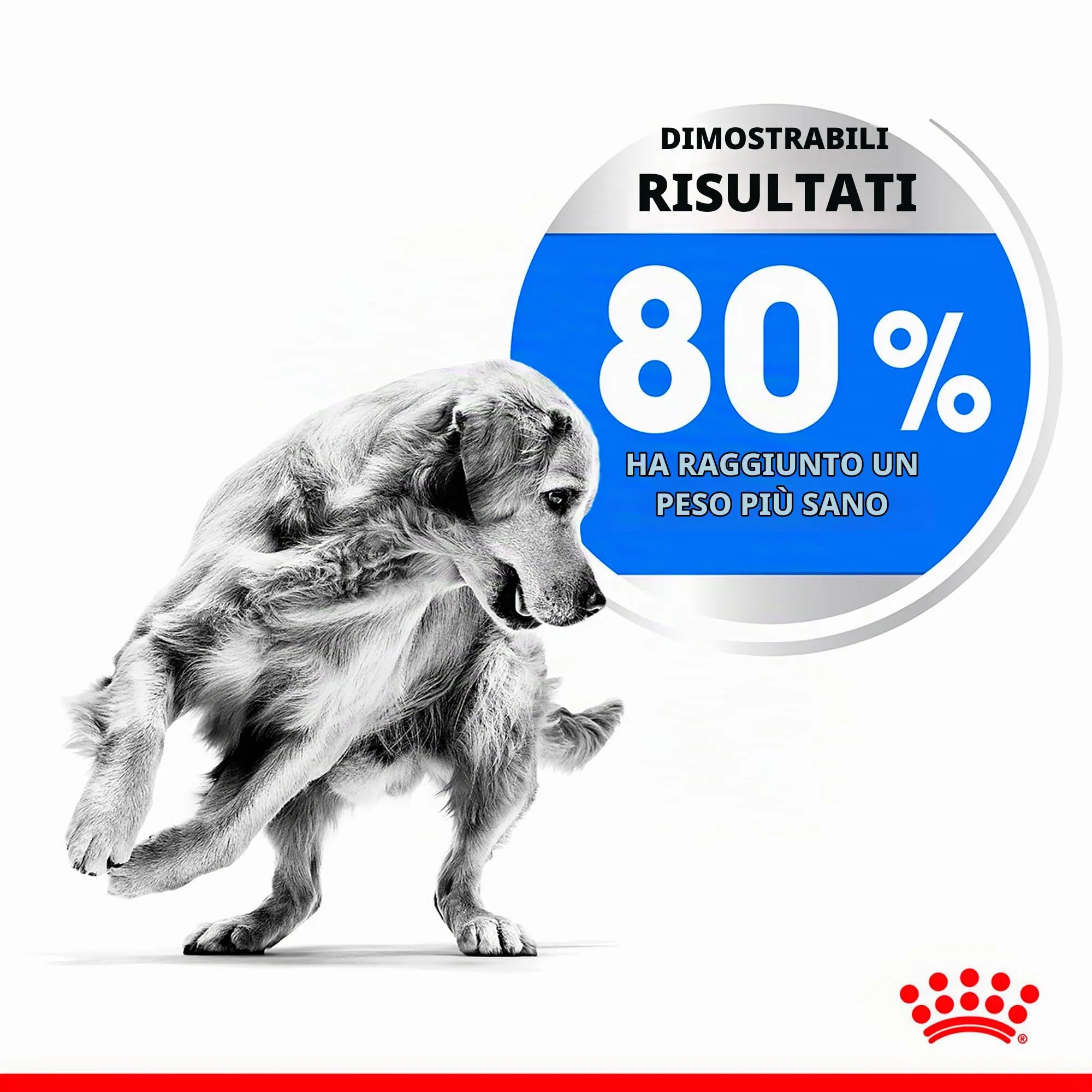 Royal Canin Medium Light Weight Care - immagine 5