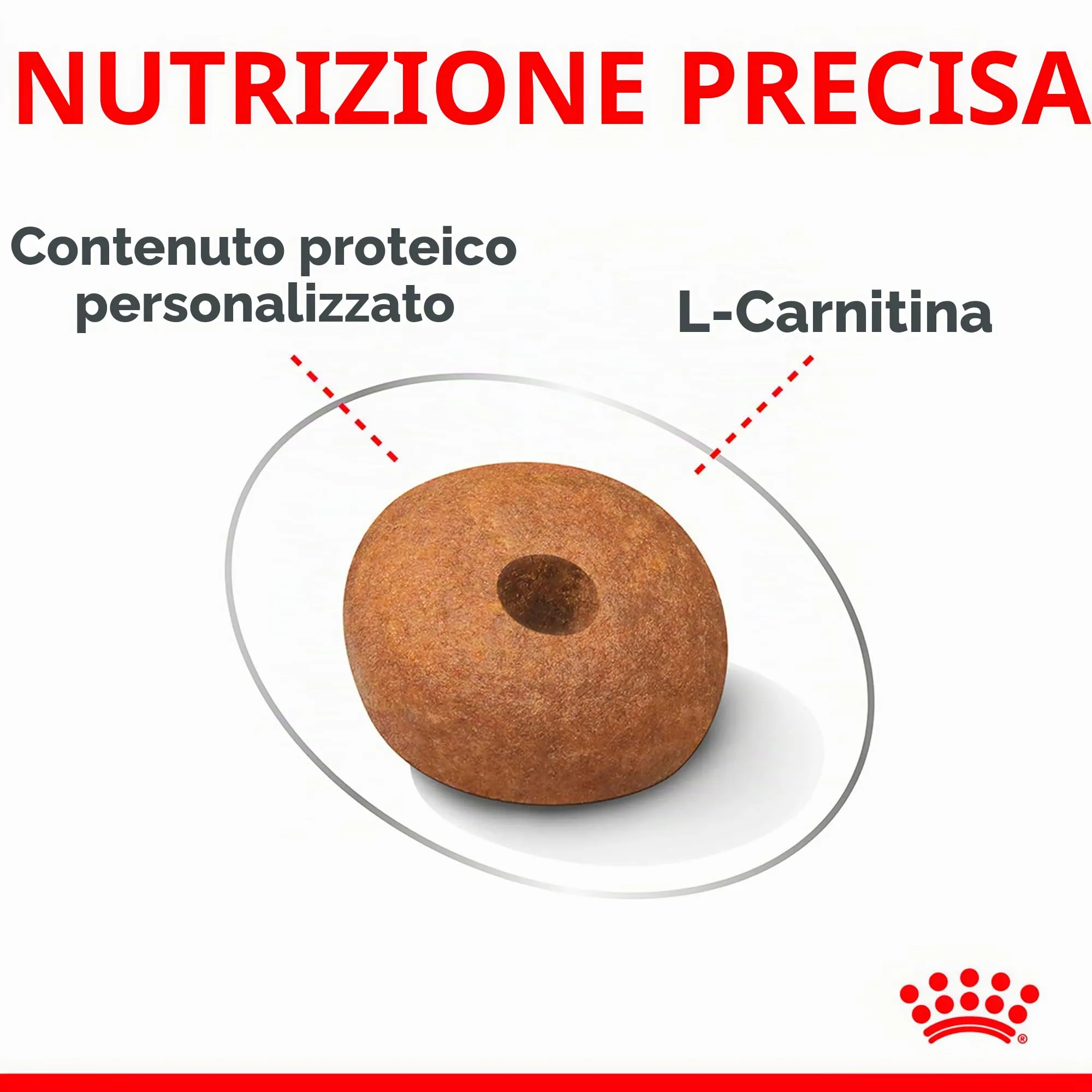 Royal Canin Medium Light Weight Care - immagine 6
