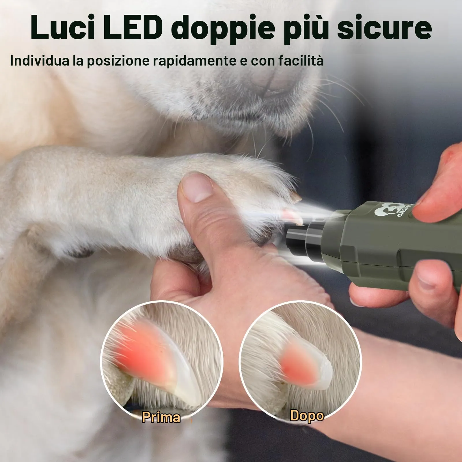 Casfuy Lima Unghie Cani à 6 Vitesses -Tagliaunghie per Cani Elettrico con 2 luci LED Ricaricabile Silenziose con Vibrazioni Ridotte a Professionale per Cani e Gatti di Taglia Piccola Media e Grande - immagine 3