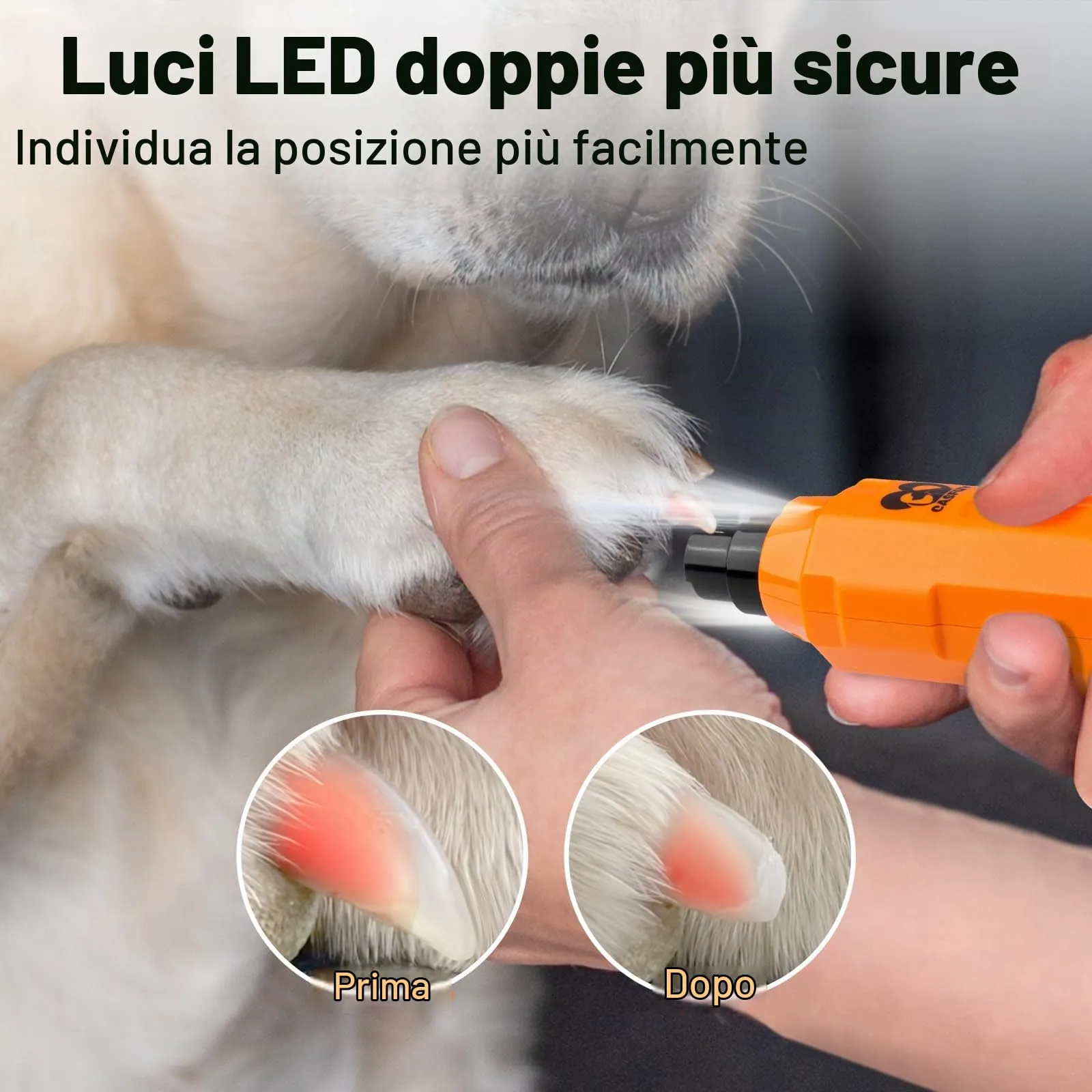 Casfuy Lima Unghie Cani à 6 Vitesses -Tagliaunghie per Cani Elettrico con 2 luci LED Ricaricabile Silenziose con Vibrazioni Ridotte a Professionale per Cani e Gatti di Taglia Piccola Media e Grande - immagine 3