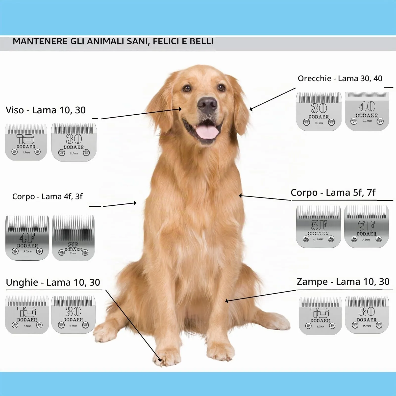 7F/5F/4F Lame staccabili per cani da compagnia compatibili con la serie Heiniger/Andis/Oster A5/Wahl KM10,3 contaggi - immagine 2