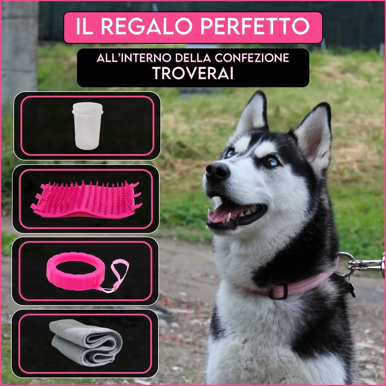Pulisci Zampe Cane Taglia Grande e Piccola con Asciugamano - Lavazampe - immagine 7