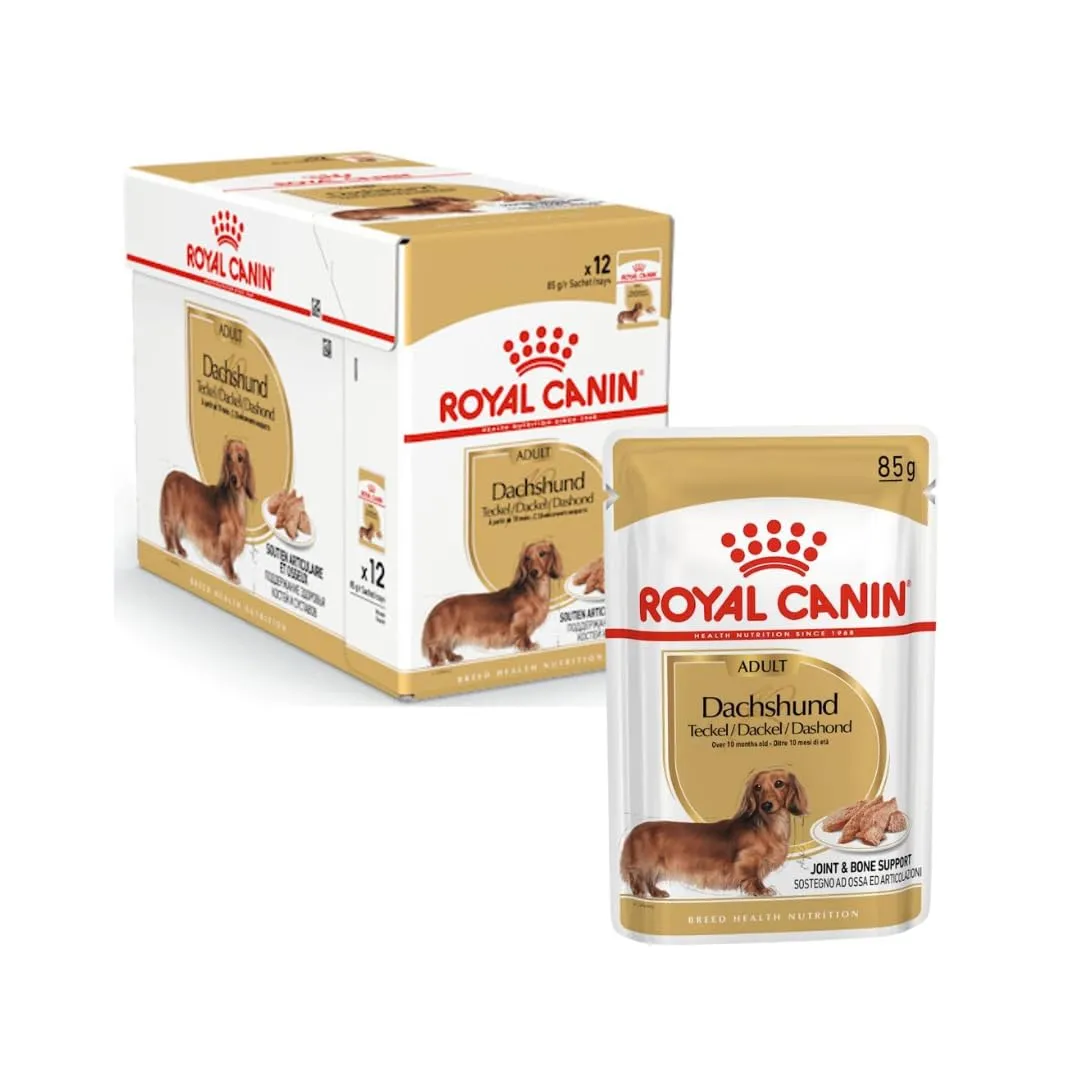Royal Canin Dachshund Adult Mousse | Confezione Doppia | 2 x 12 x 85 g | Alimento completo per cani | Bassotti adulti - immagine 2