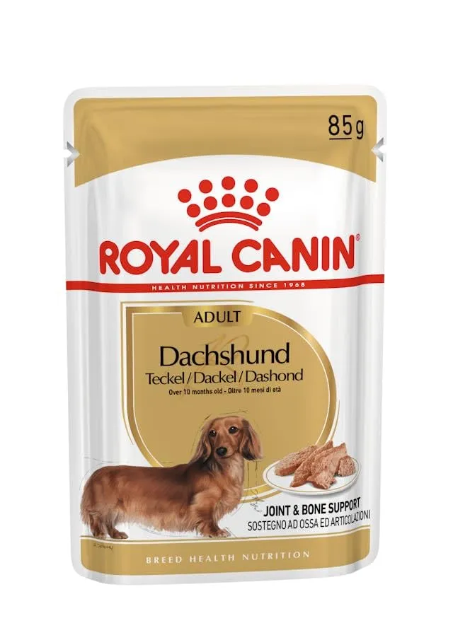 Royal Canin Dachshund Adult Mousse | Confezione Doppia | 2 x 12 x 85 g | Alimento completo per cani | Bassotti adulti - immagine 3