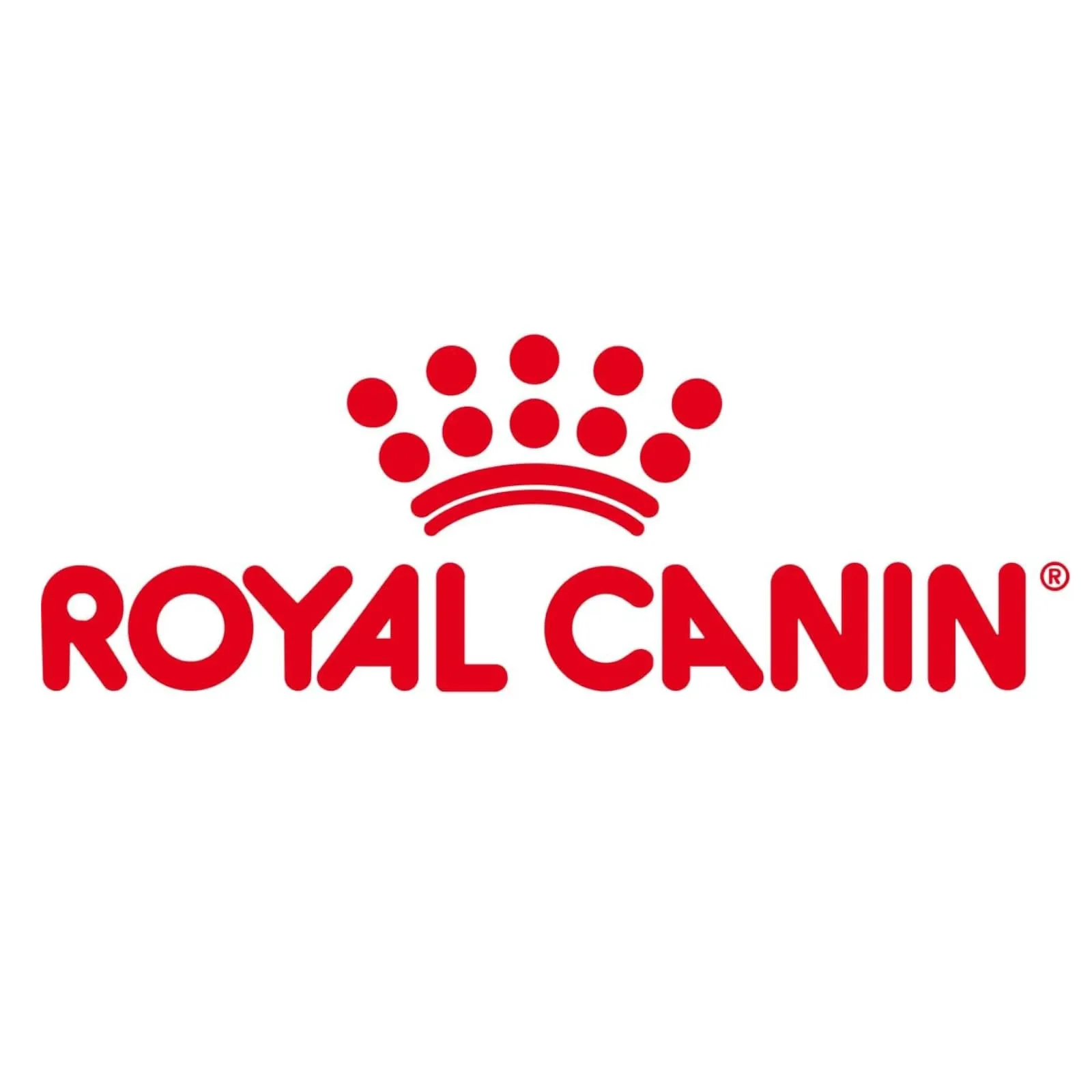 Royal Canin Dachshund Adult Mousse | Confezione Doppia | 2 x 12 x 85 g | Alimento completo per cani | Bassotti adulti - immagine 4