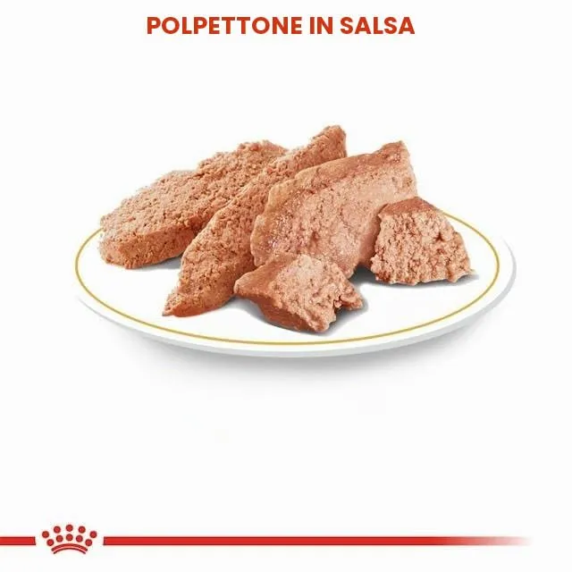 Royal Canin Dachshund Adult Mousse | Confezione Doppia | 2 x 12 x 85 g | Alimento completo per cani | Bassotti adulti - immagine 5