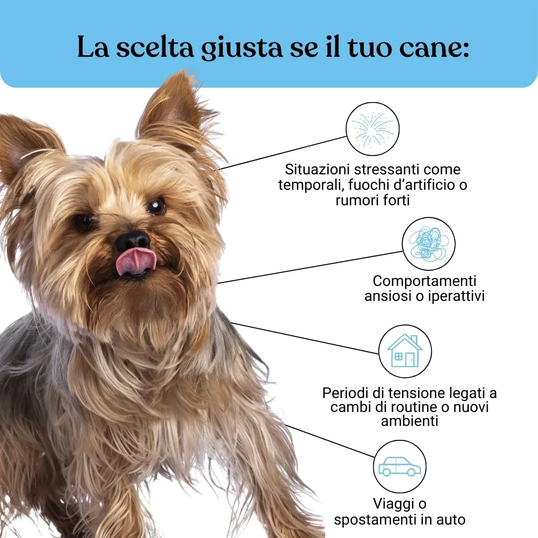 Bau Integratore Calmante per Cani, Valeriana per Cani Tranquillante, Rilassante Appetibile con Ingredienti Naturali, Ideale per Temporali, Viaggi e Ansia da Separazione- 60cps - immagine 3