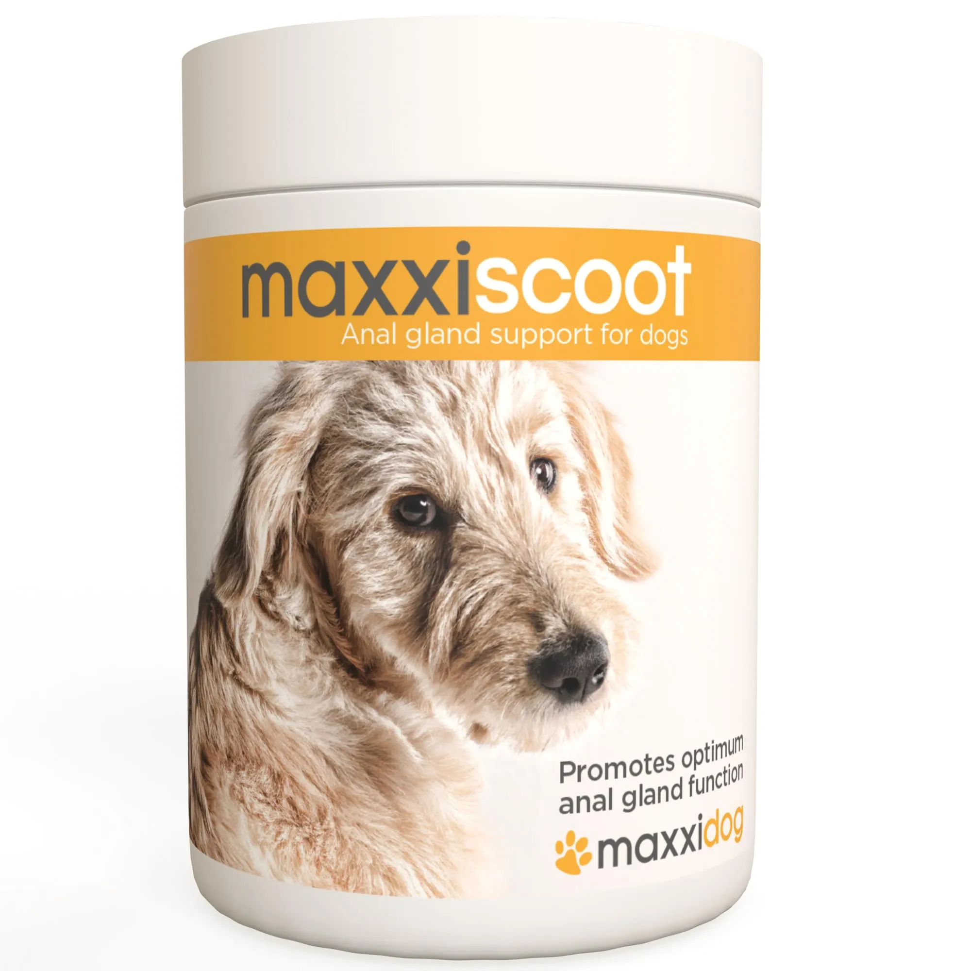 maxxiscoot Supporto Ghiandole Cani - Ghiandole & Digestione Polvere 140g - immagine 1