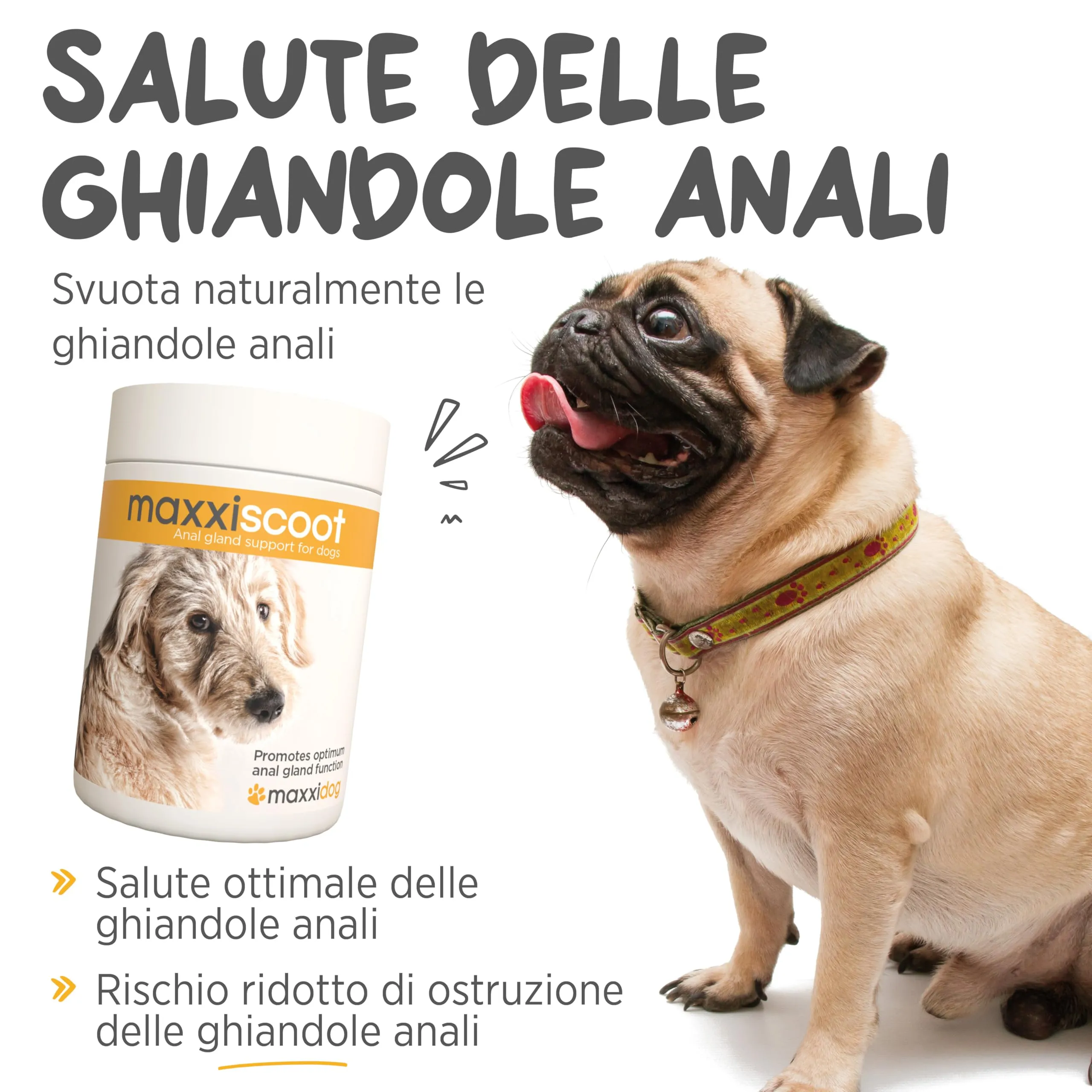 maxxiscoot Supporto Ghiandole Cani - Ghiandole & Digestione Polvere 140g - immagine 3