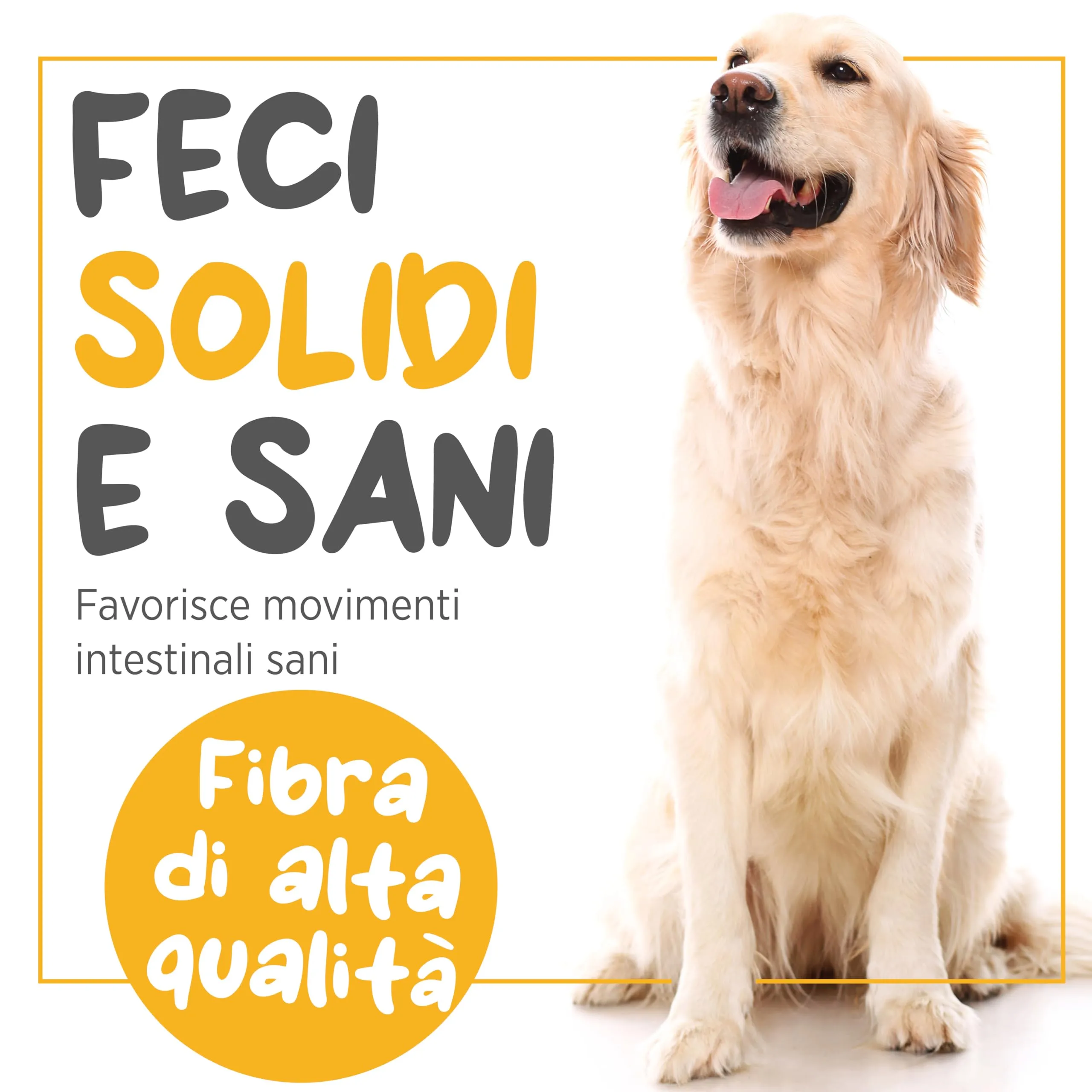maxxiscoot Supporto Ghiandole Cani - Ghiandole & Digestione Polvere 140g - immagine 4