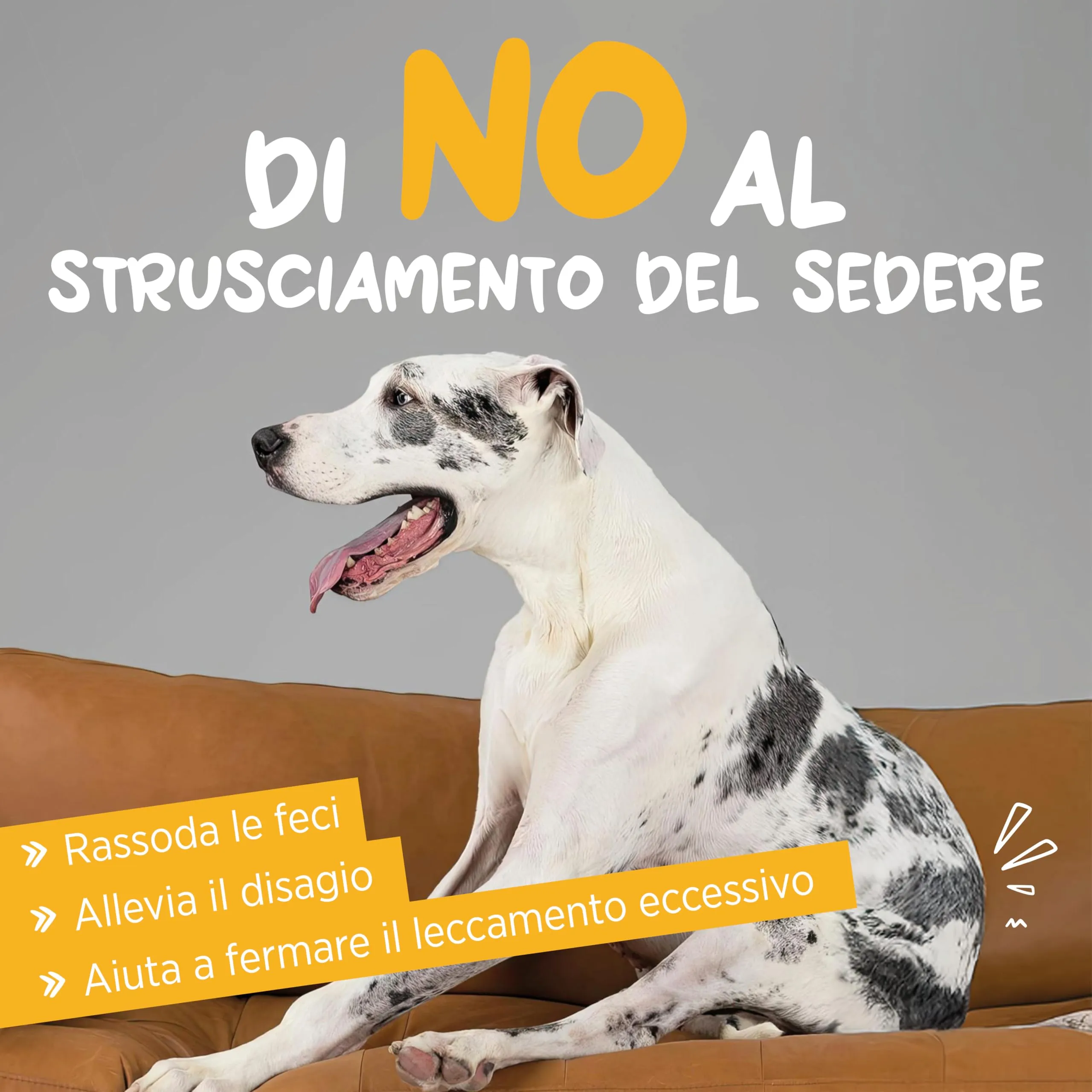 maxxiscoot Supporto Ghiandole Cani - Ghiandole & Digestione Polvere 140g - immagine 5